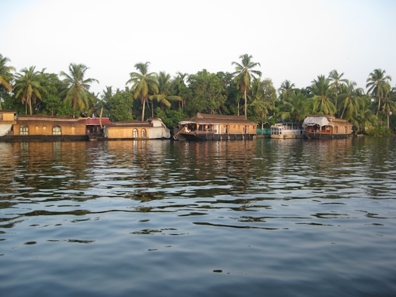 A serene water scene with several traditional houseboats lined up along the shoreline, surrounded by lush green palm trees. The calm water reflects the boats and greenery, creating a peaceful and idyllic atmosphere.