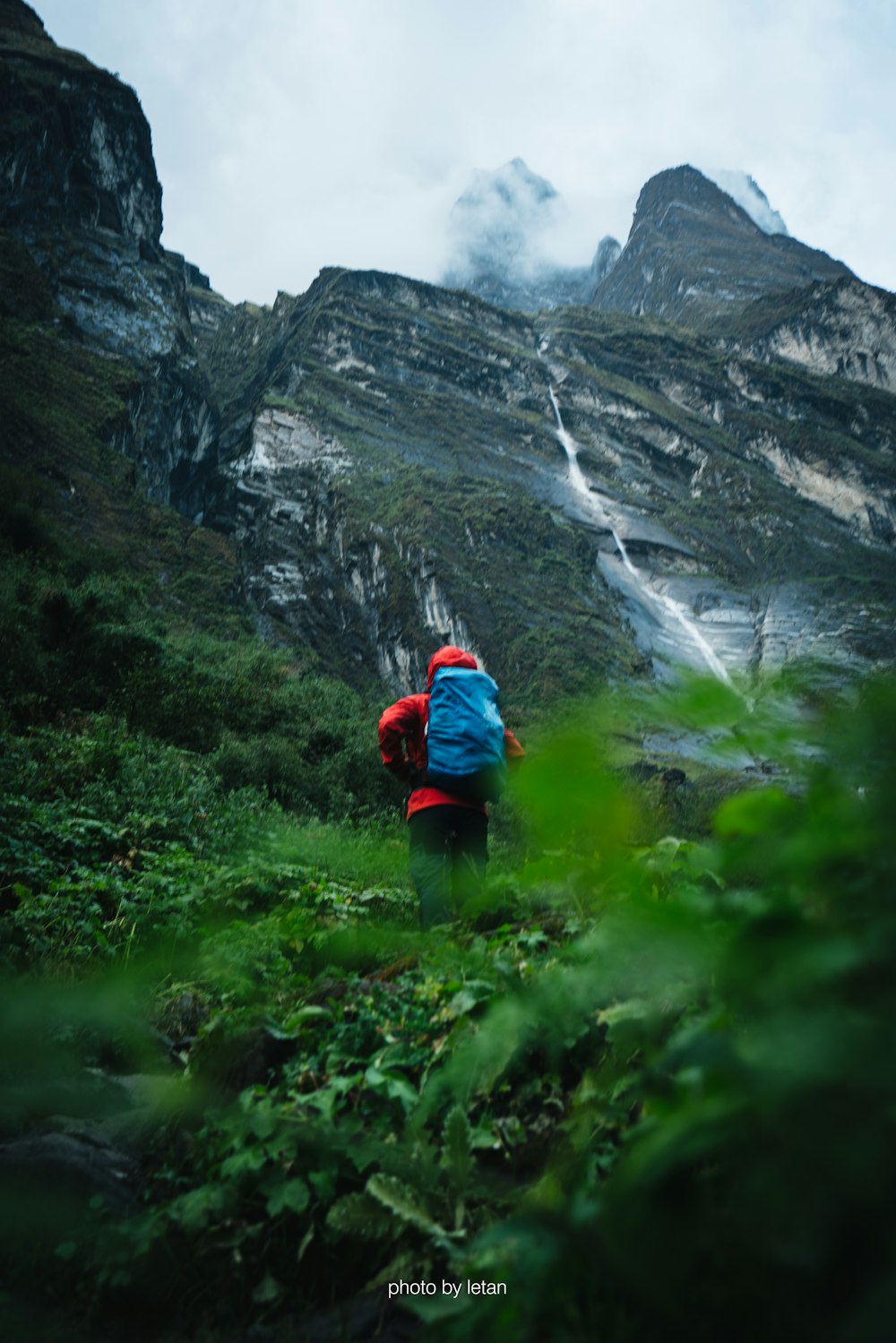 person in red jacket and black pants sitting on green grass near rocky mountain during daytime