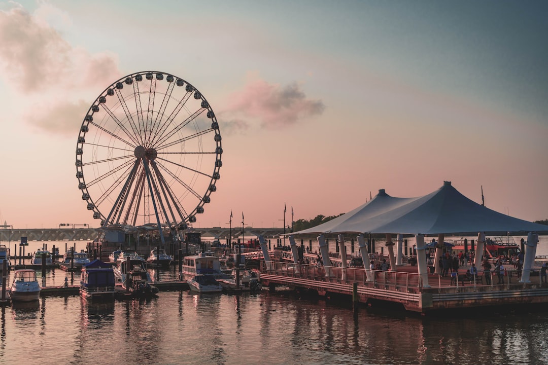 ferris wheel near body of water during daytime