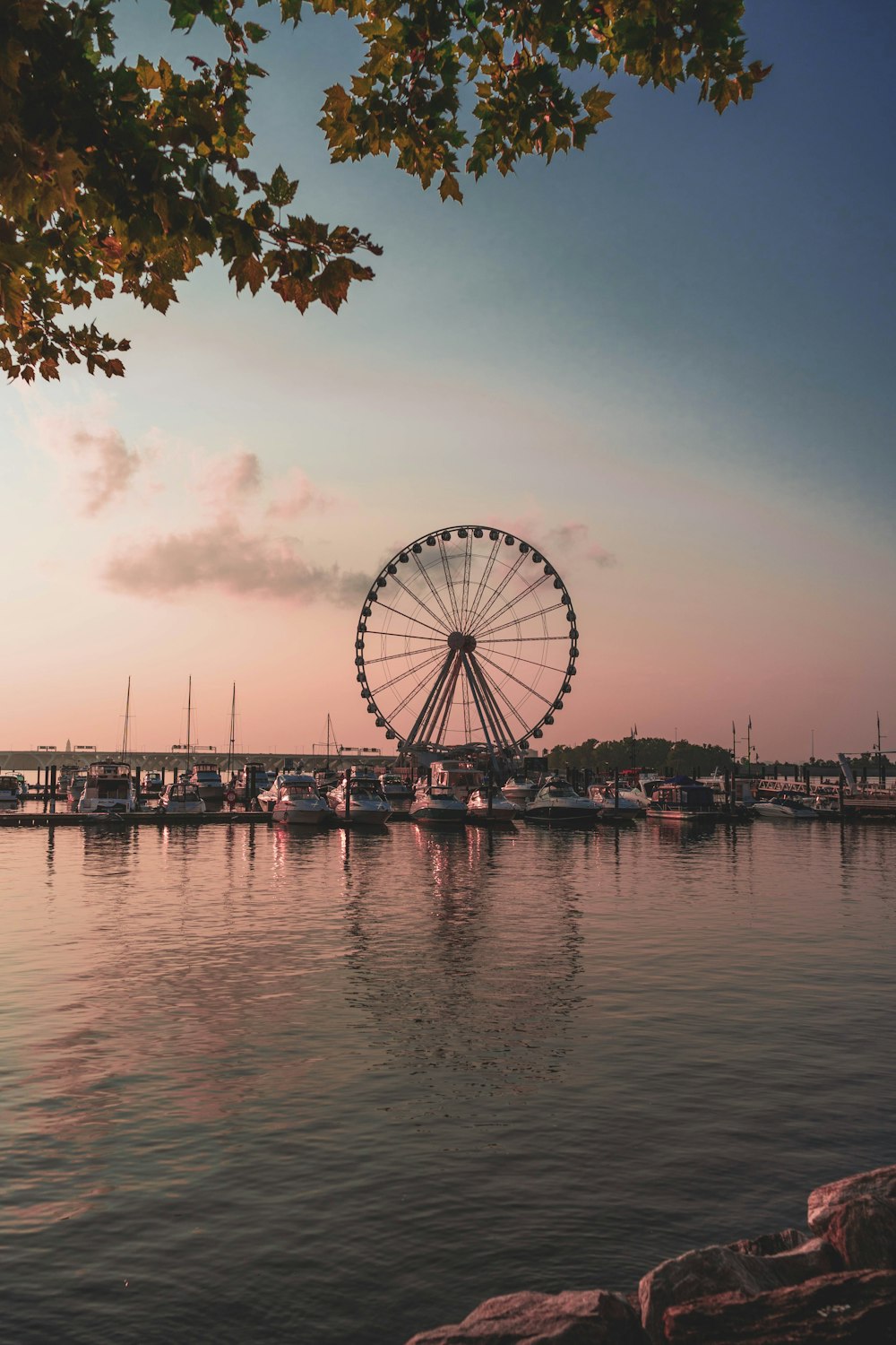 ferris wheel near body of water during daytime