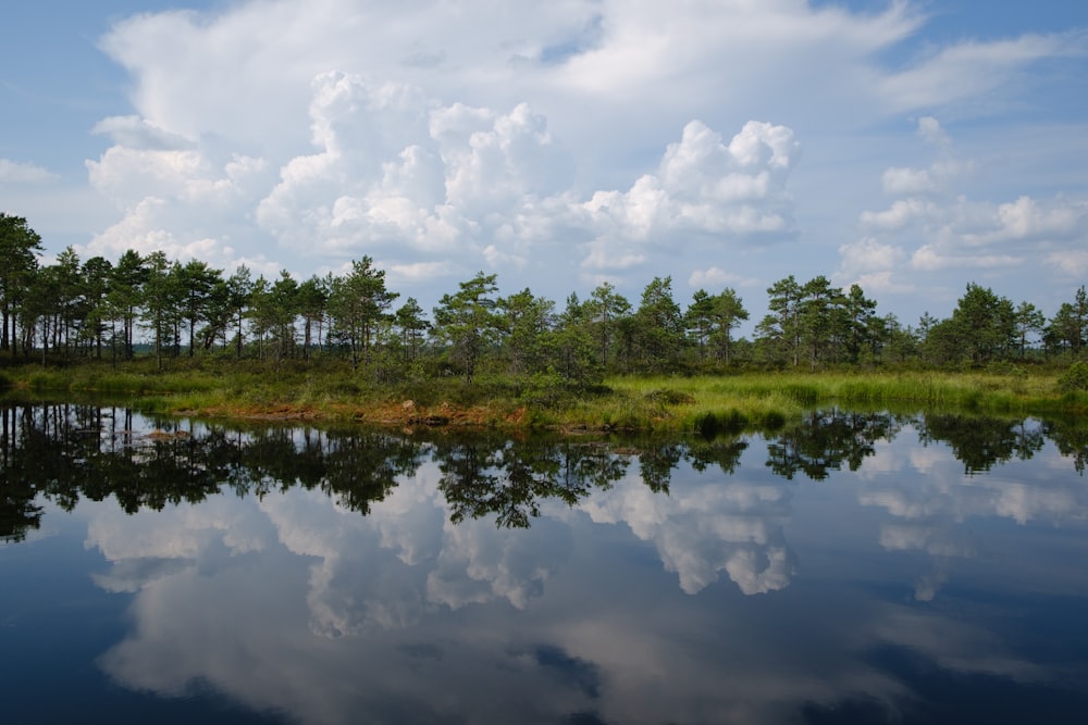 green trees beside lake under white clouds and blue sky during daytime