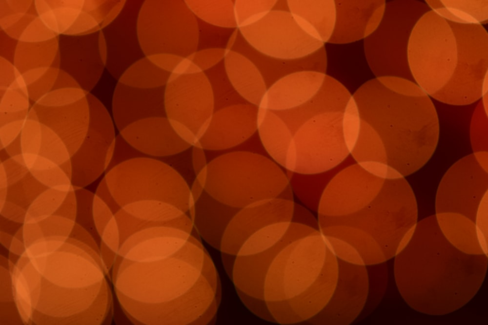 orange and white bokeh lights