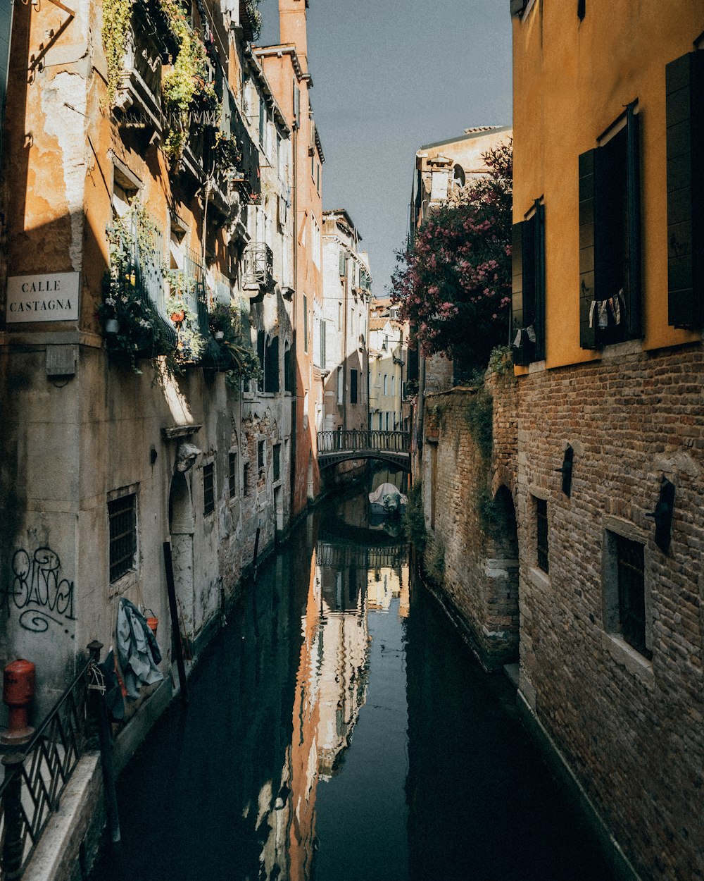 river between concrete buildings during daytime