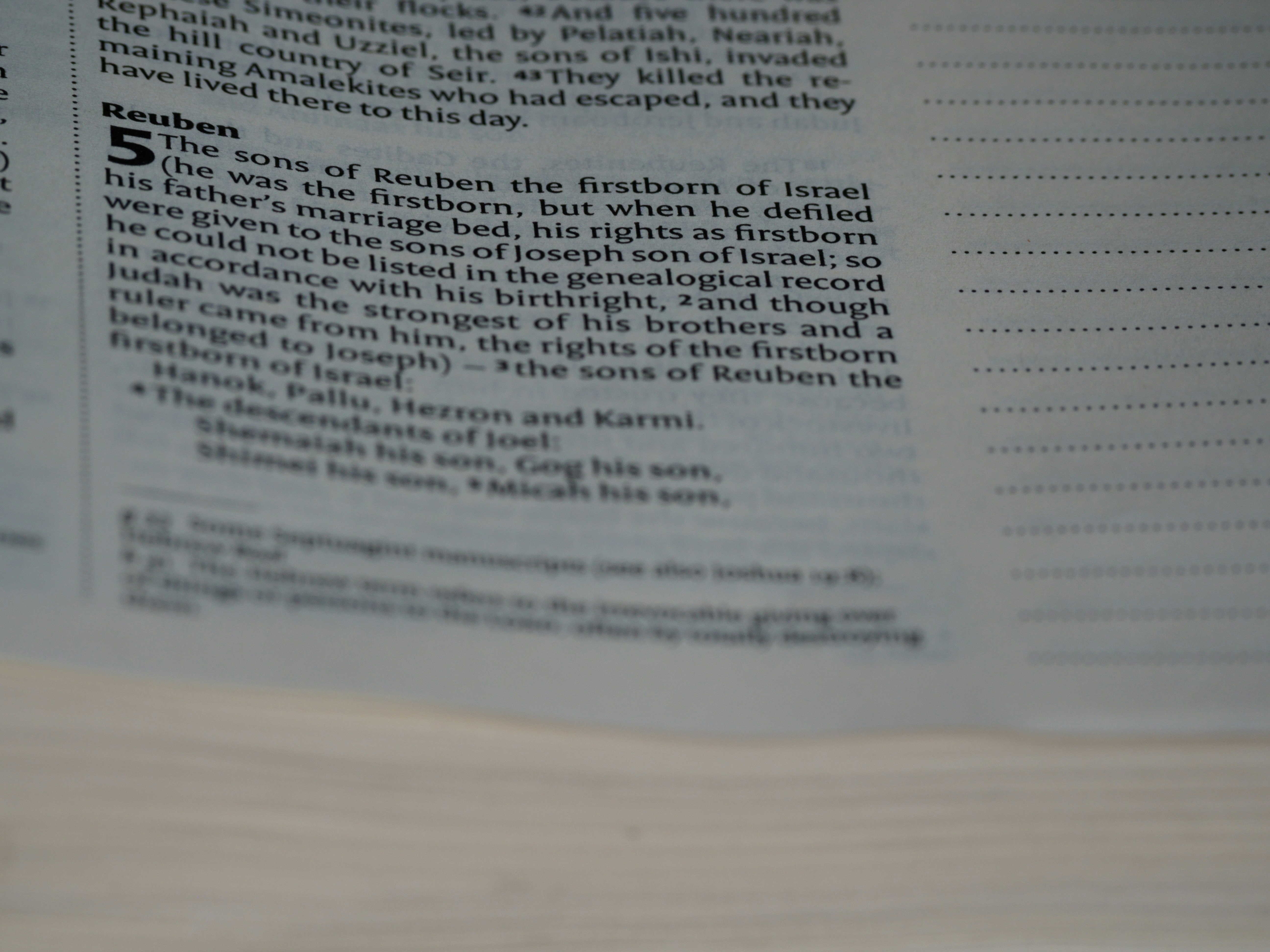 Photo by brett_jordan