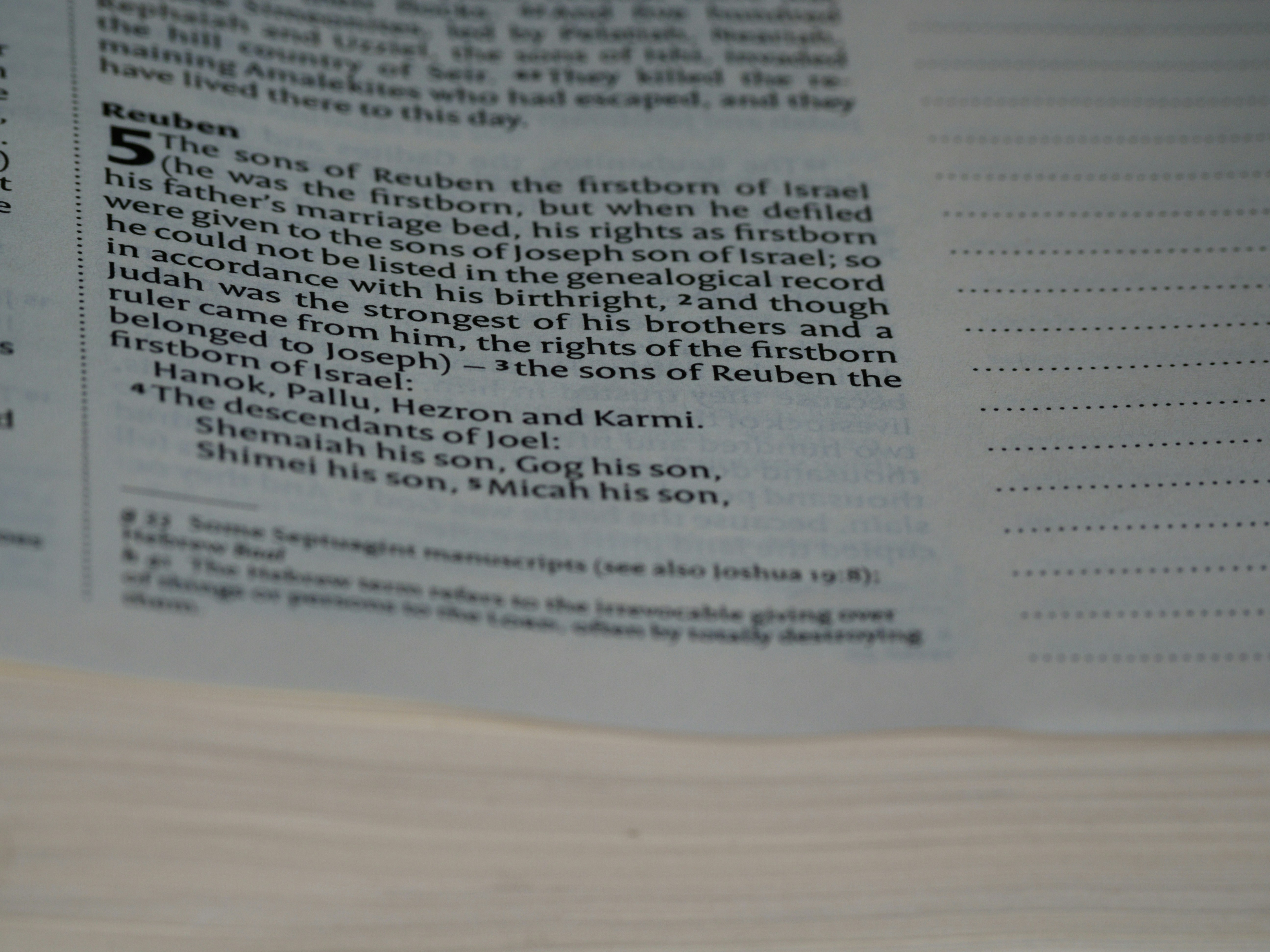 Photo by brett_jordan