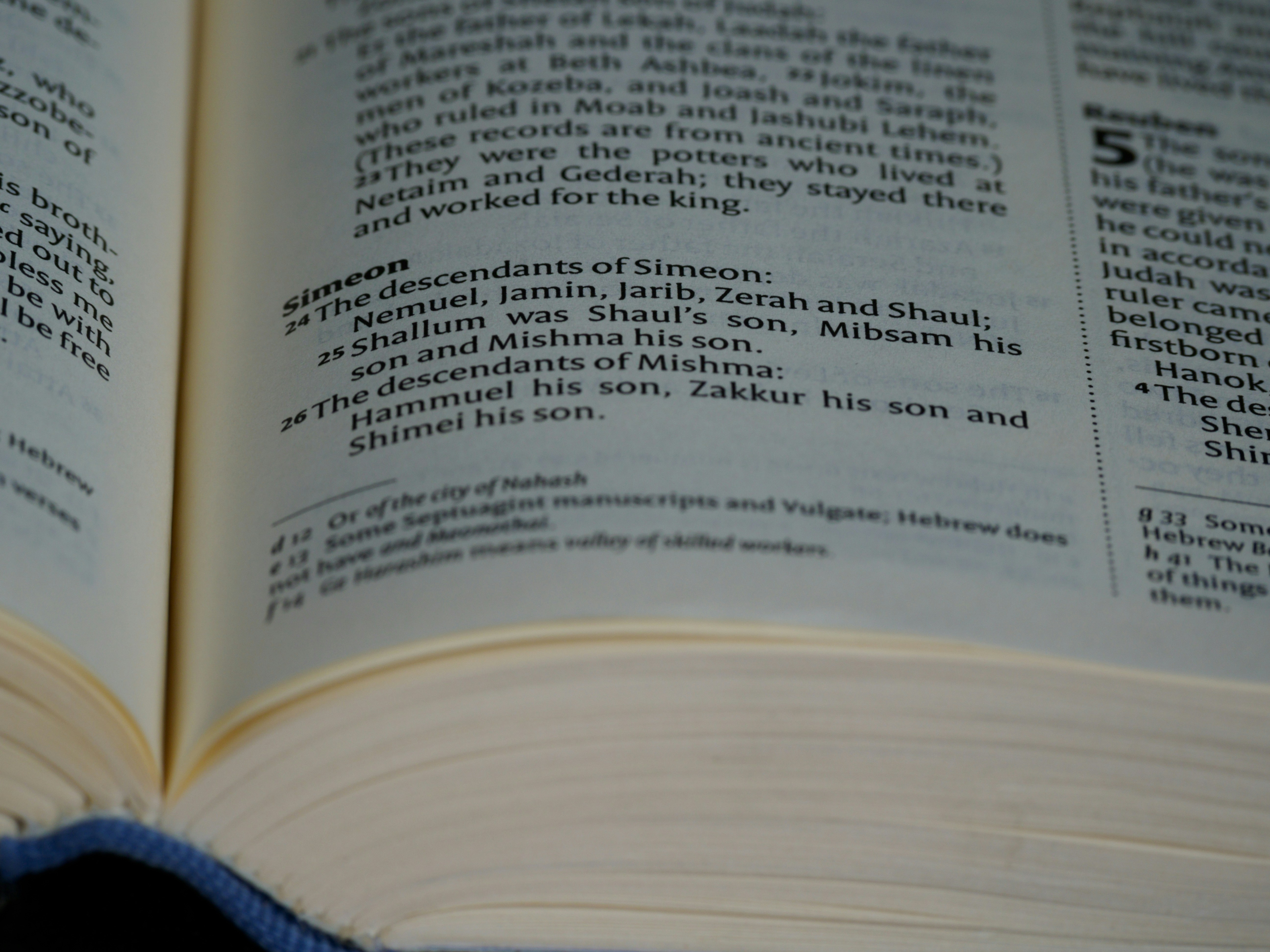 When You Transform Your Outline into Paragraphs, You Should