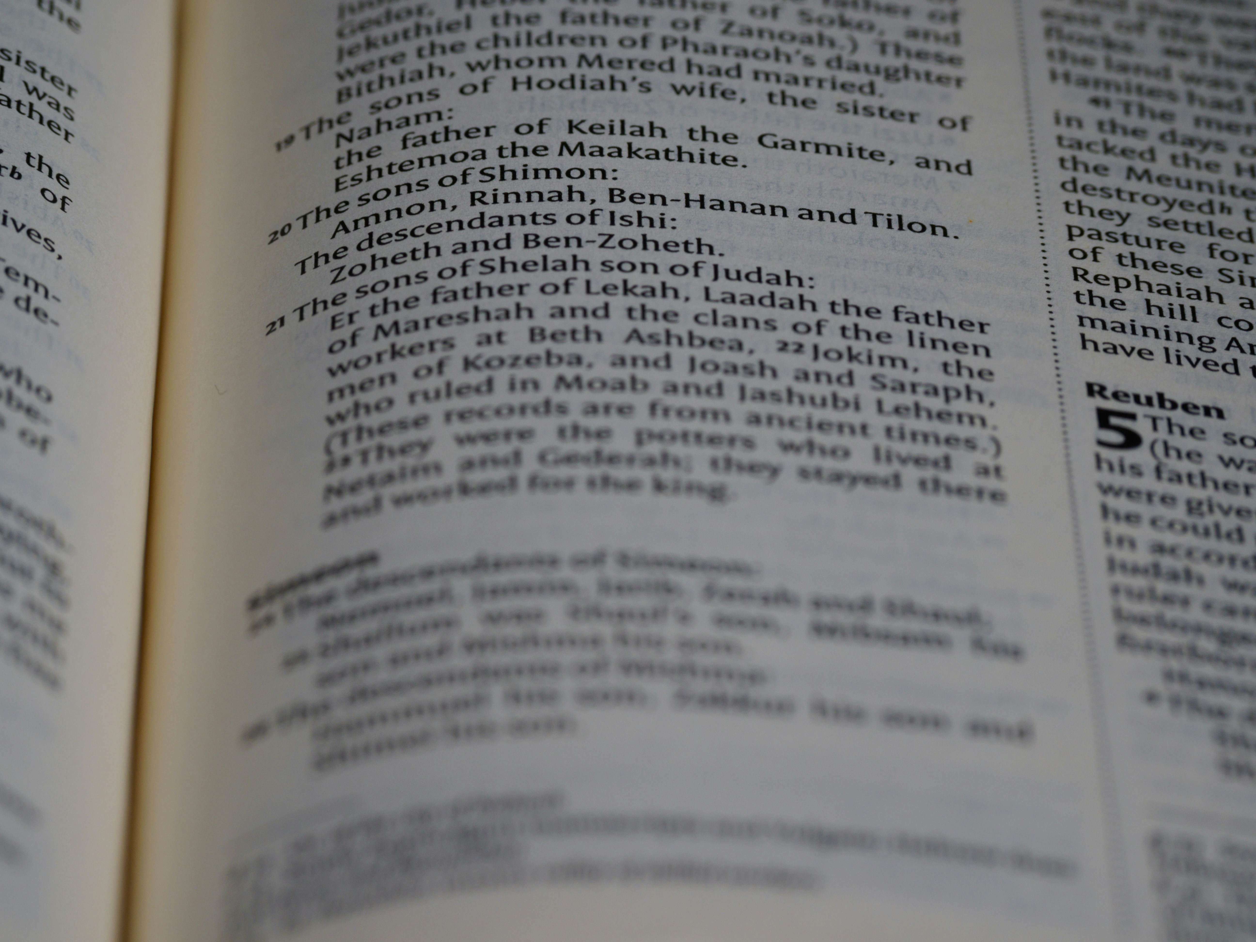 Photo by brett_jordan