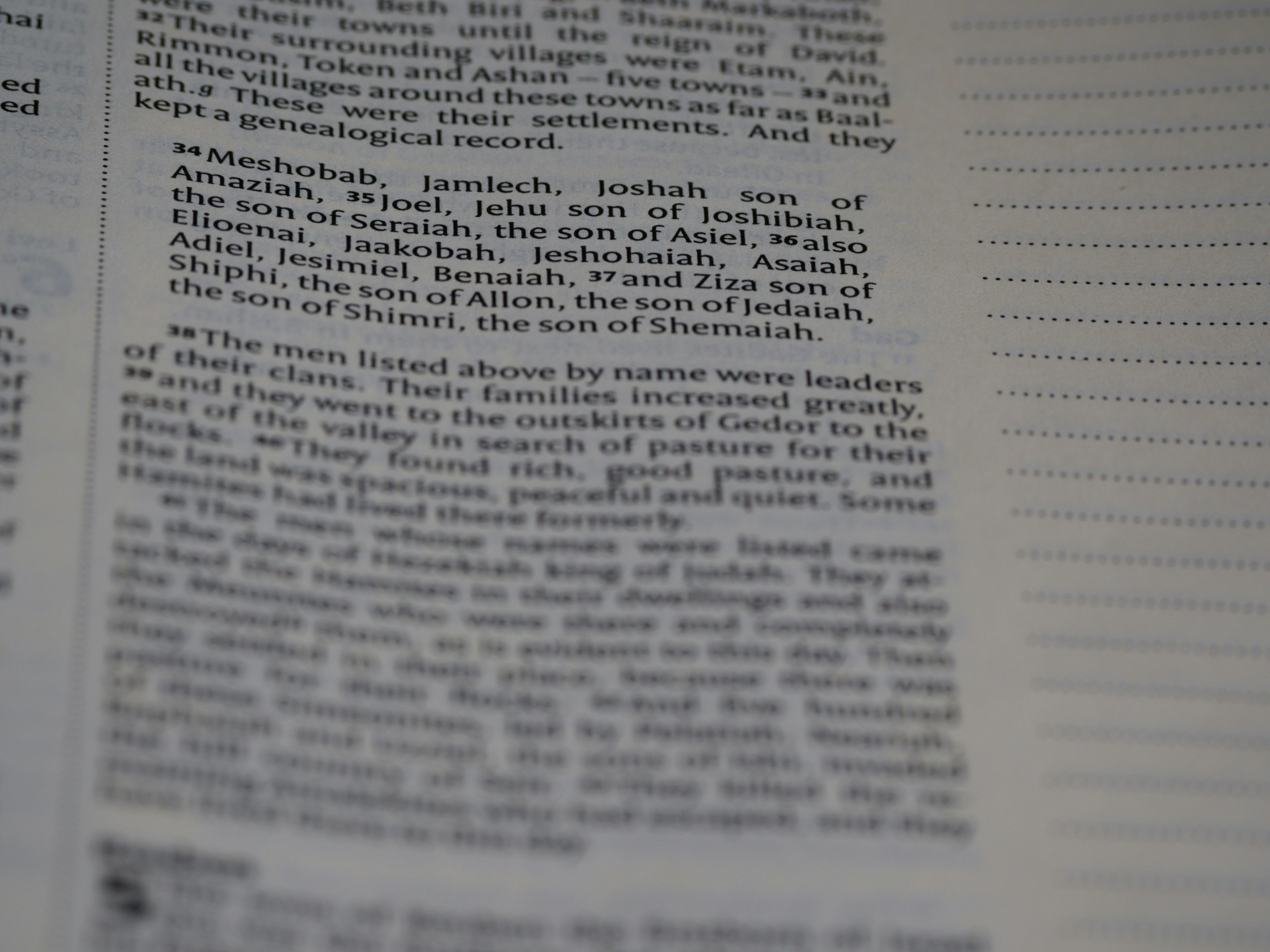 Photo by brett_jordan