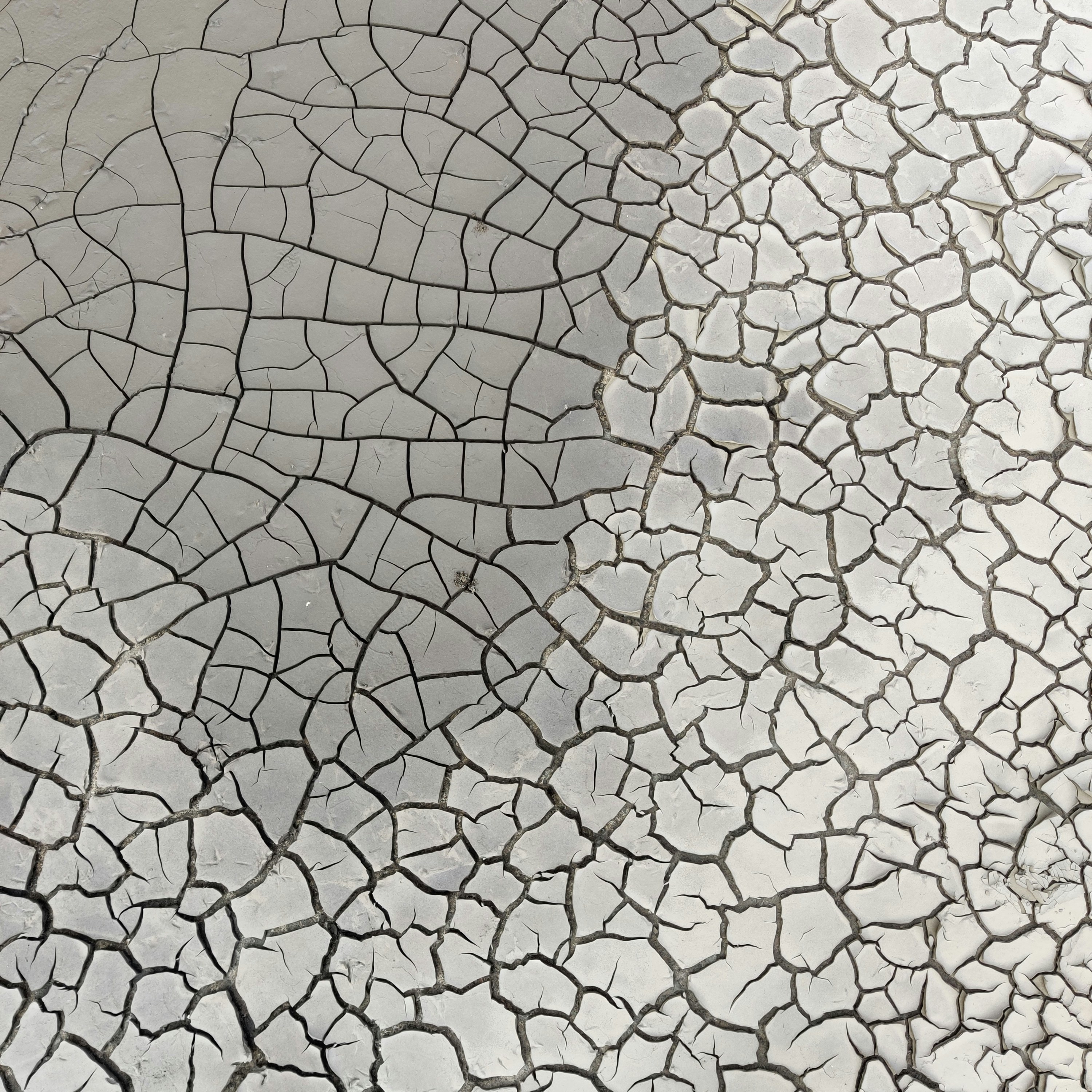 white and black abstract painting