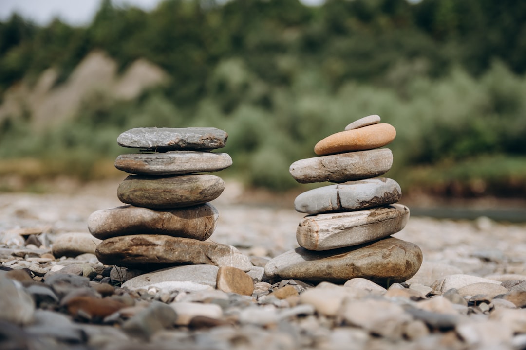 brown and gray stones on brown soil during daytime