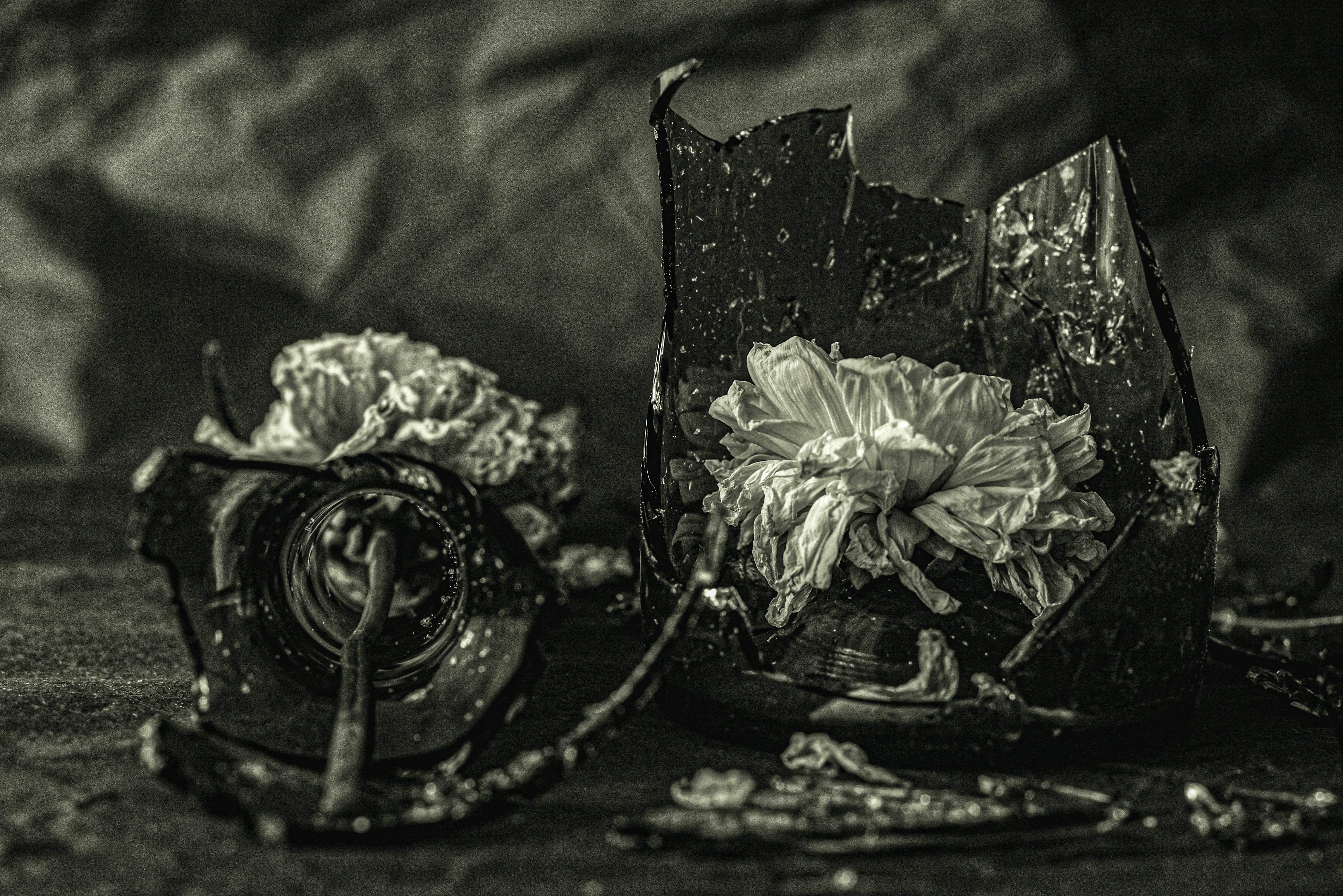 Photography for Beginners for Tech & Development