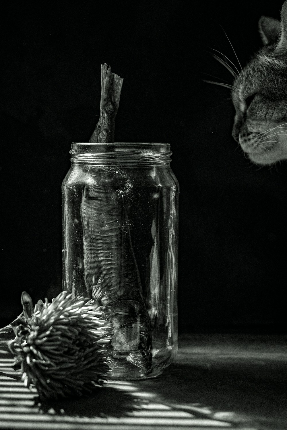 clear glass jar with silver tabby cat
