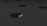 black and white apple logo