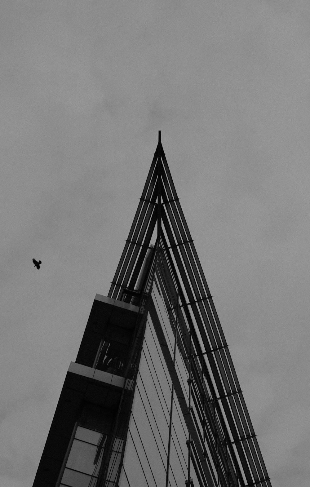 grayscale photo of flying bird