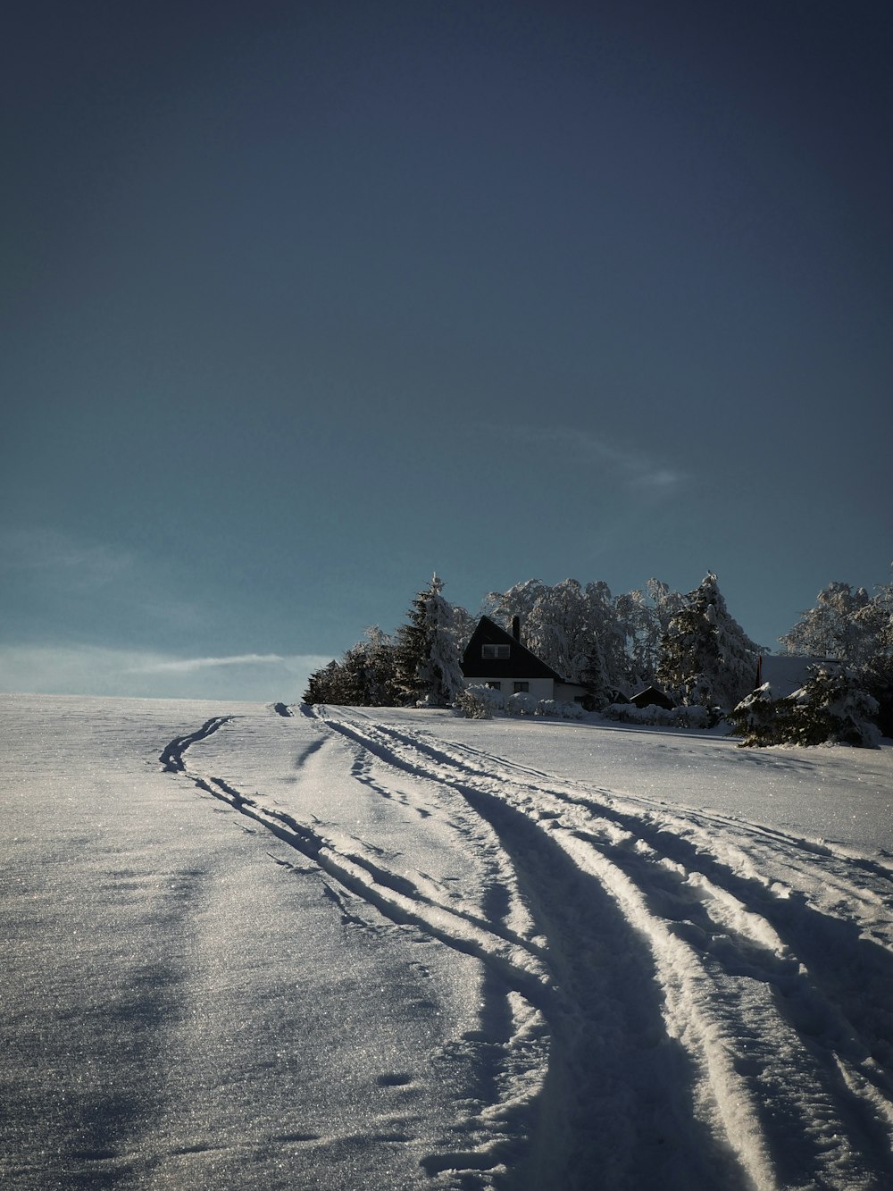 casa en campo cubierto de nieve bajo el cielo azul durante el día