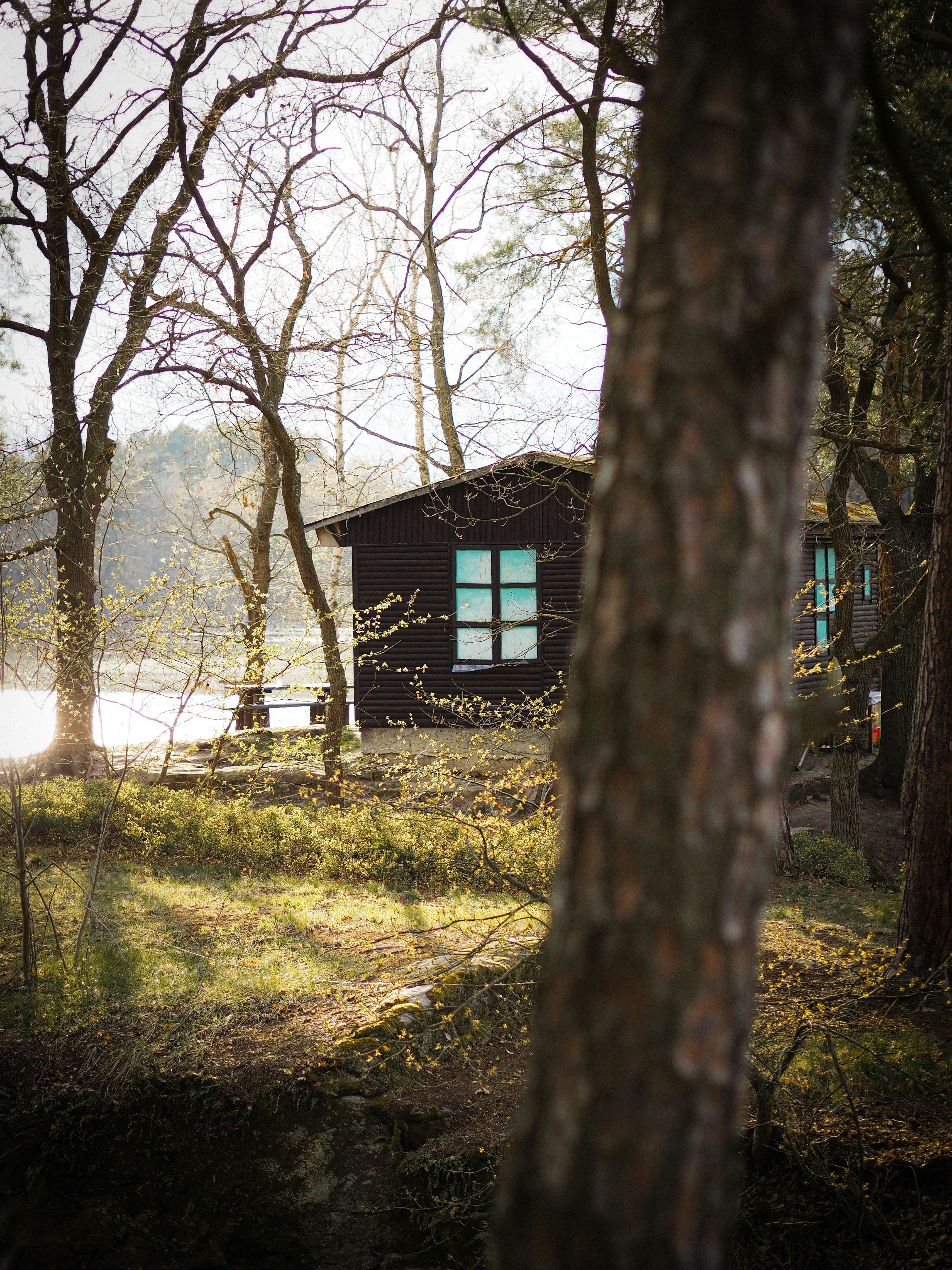 Photo by jirovakristynka