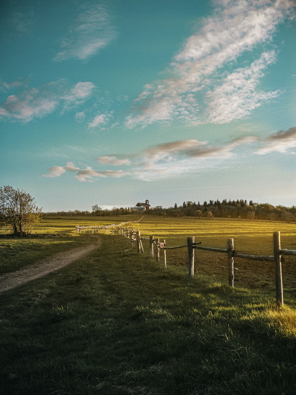 green grass field under blue sky during daytime