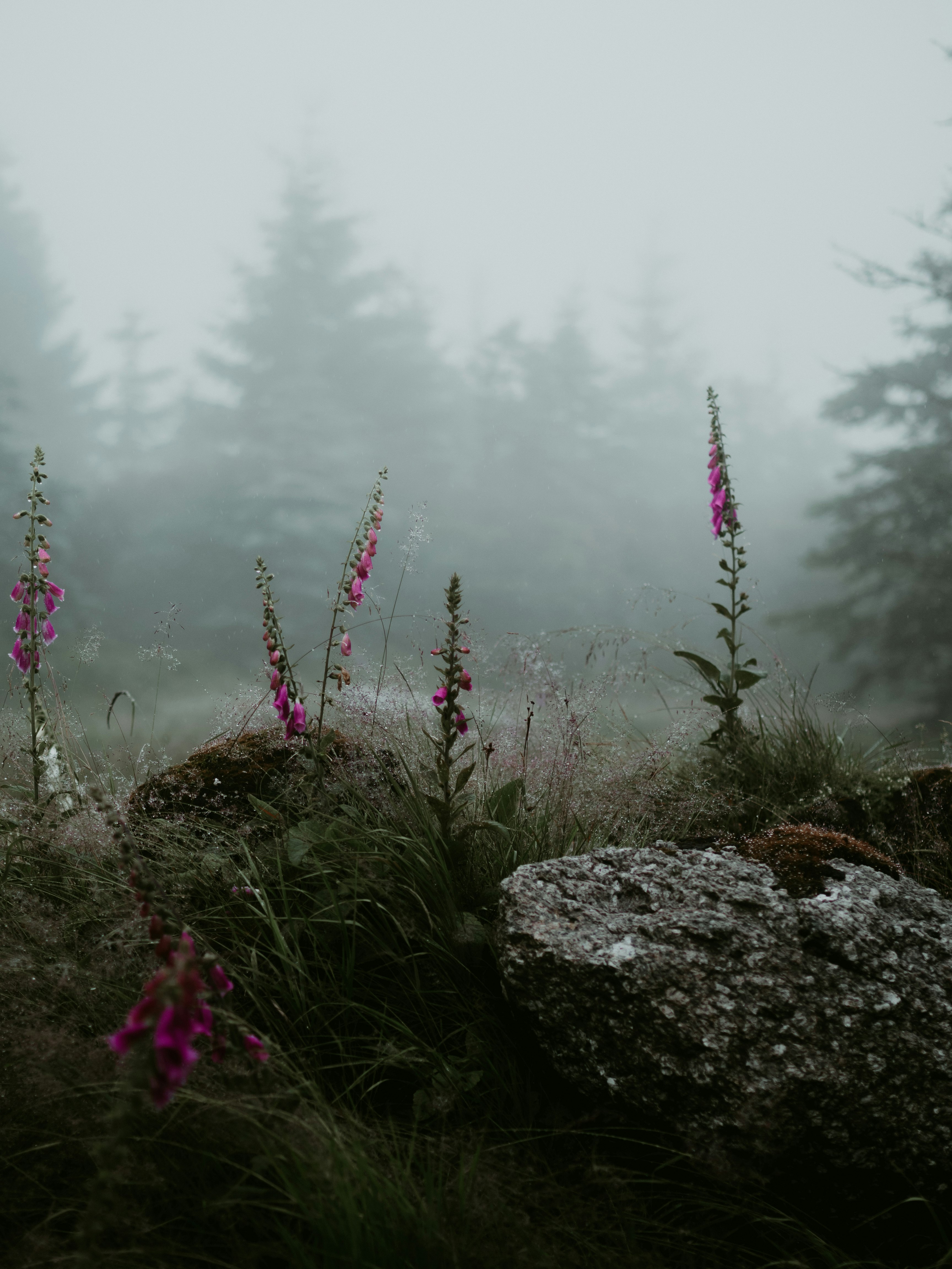 Photo de v de ronde par Kristýna Jírová