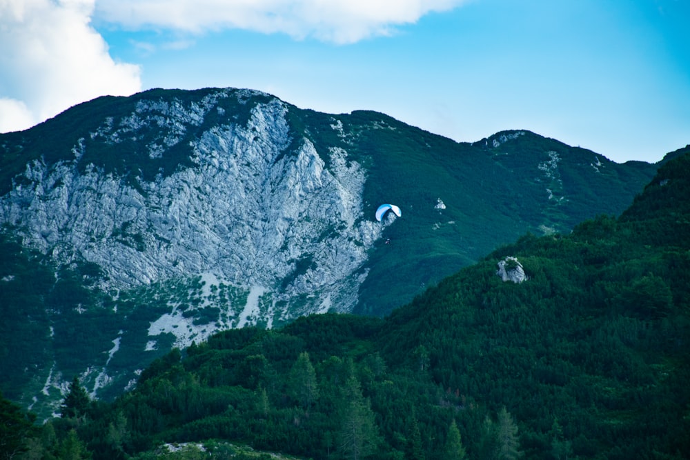 green trees on mountain under blue sky during daytime