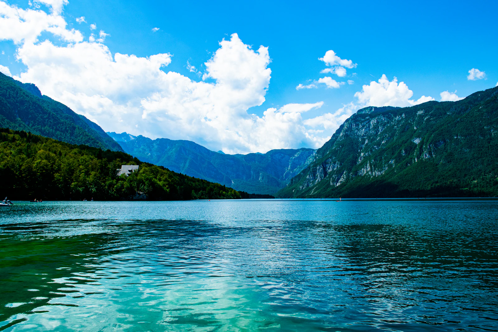 Lake Bohinj, green water between forested slopes and the Julian Alps