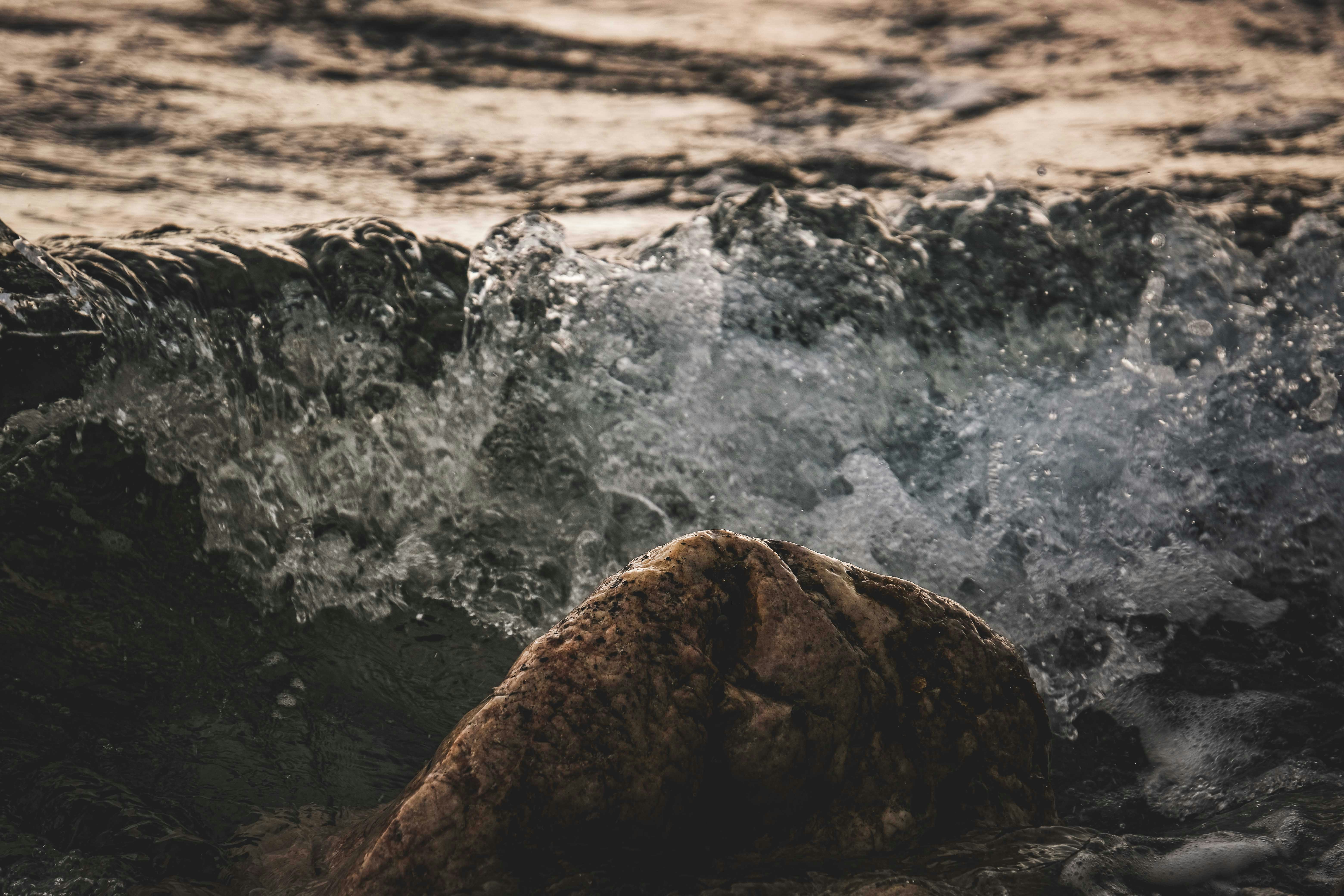 Photo by francesco_ungaro