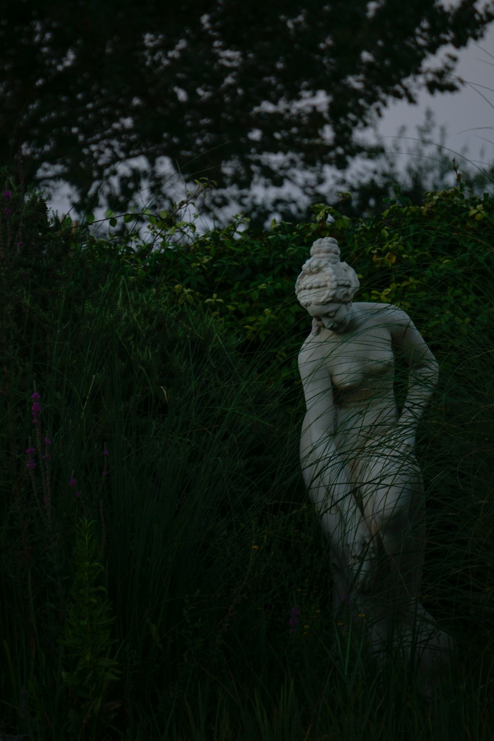 statue of man near green plants during daytime
