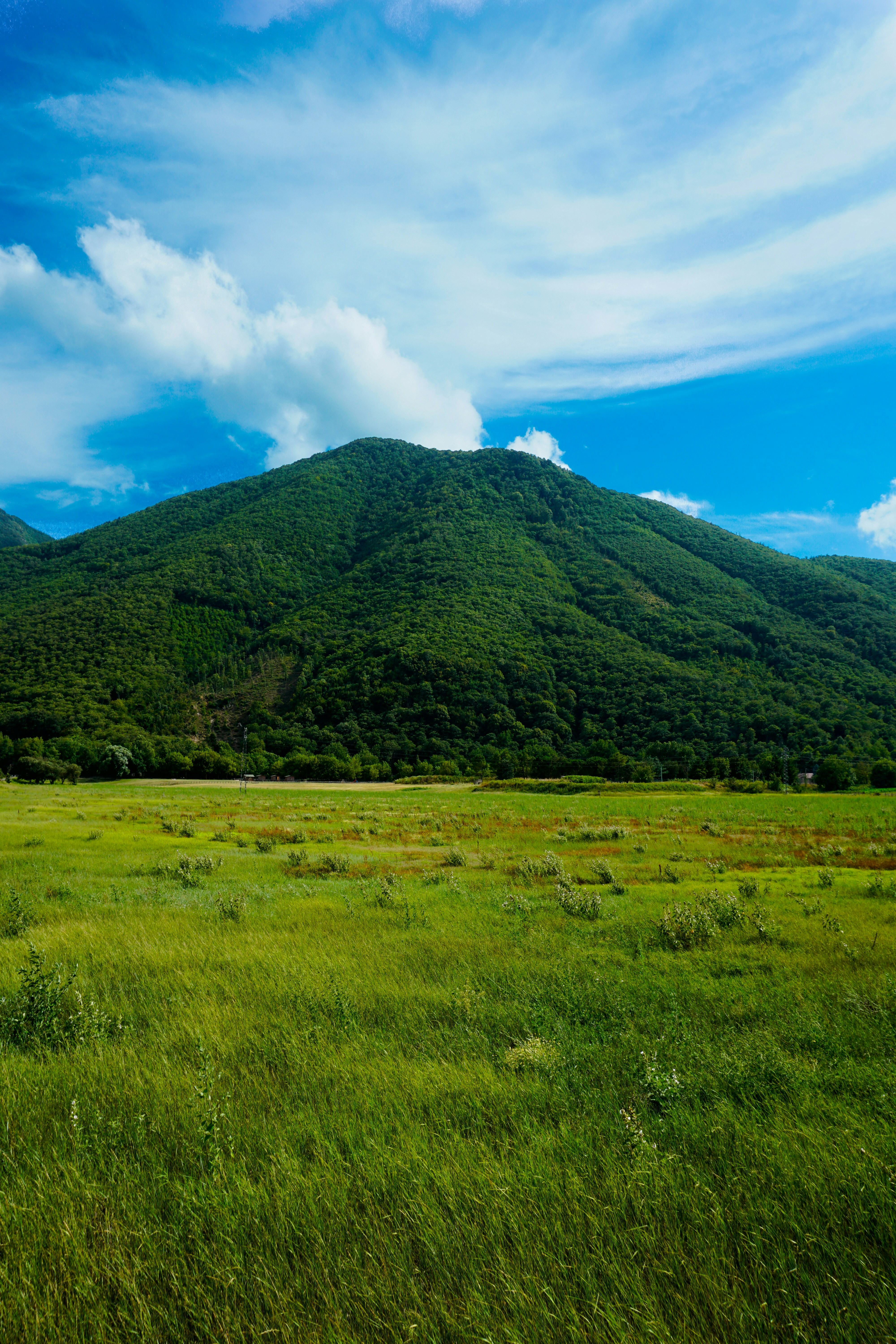 Photo by umbertodicapua