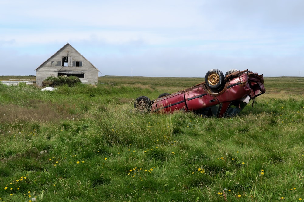 red car on green grass field during daytime