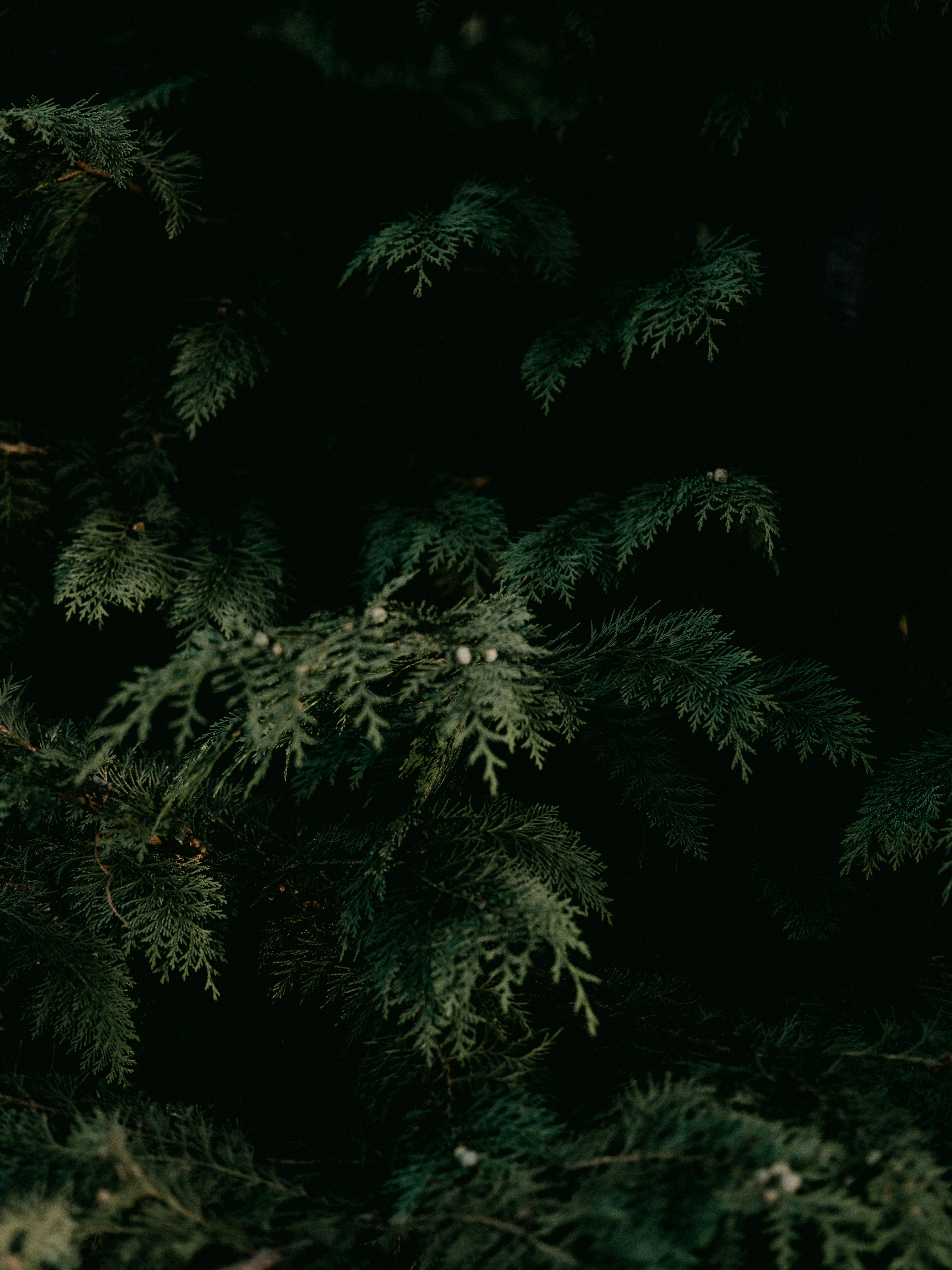 Photo by anniespratt