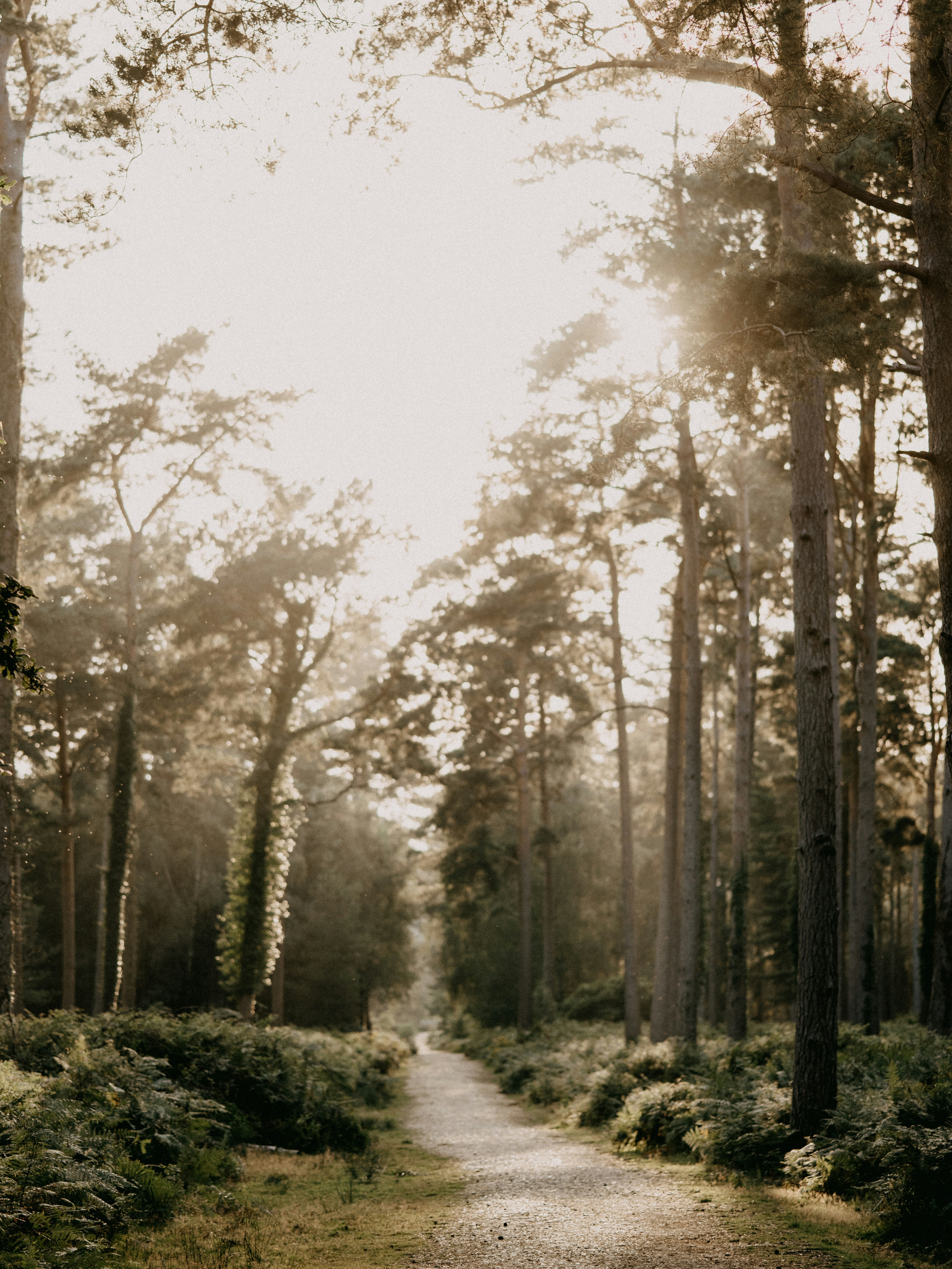 Photo by anniespratt