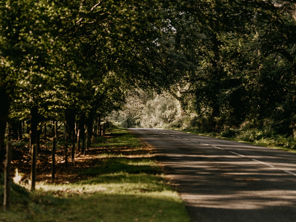 gray concrete road between green grass and trees during daytime