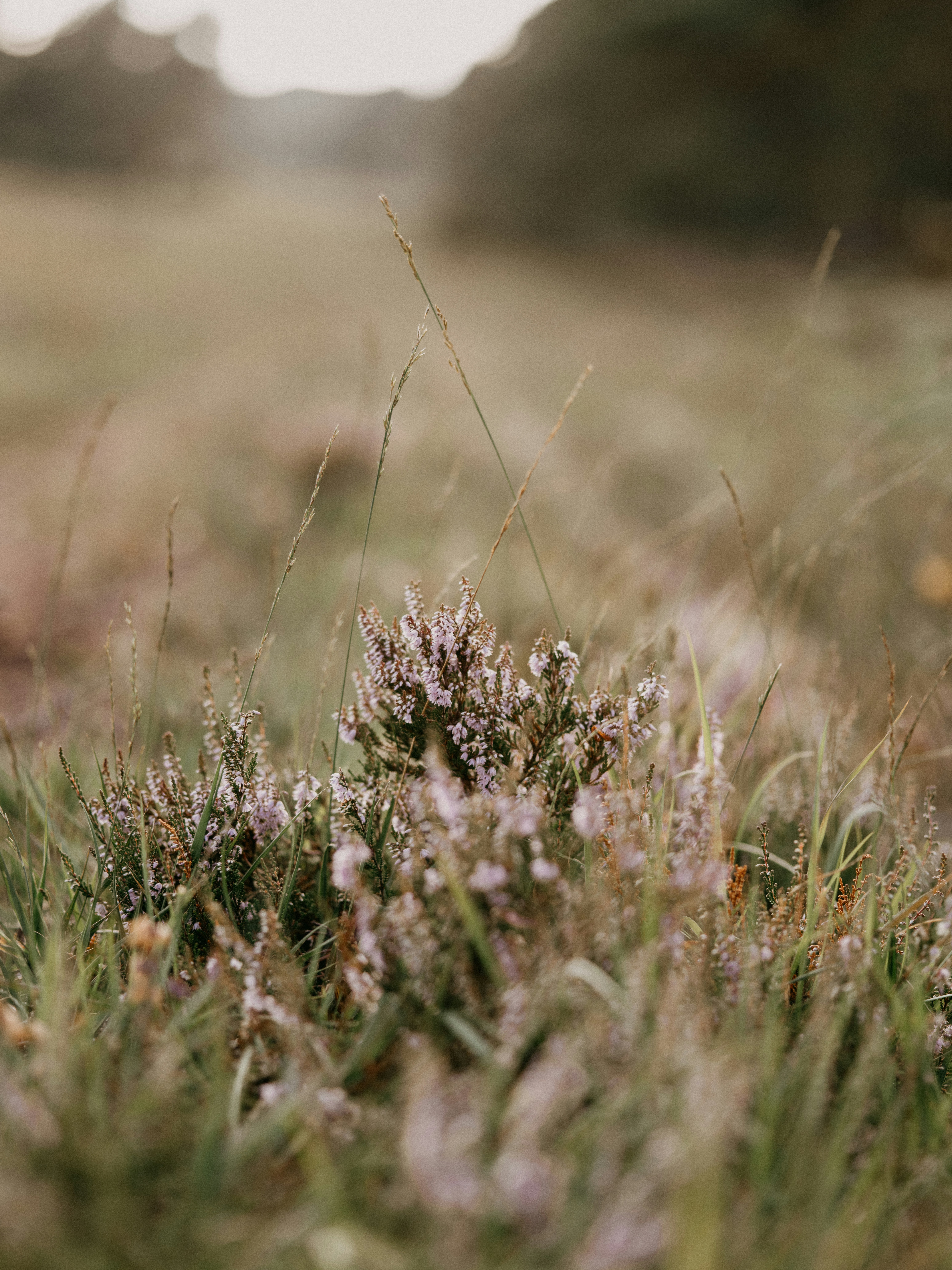 Photo by anniespratt