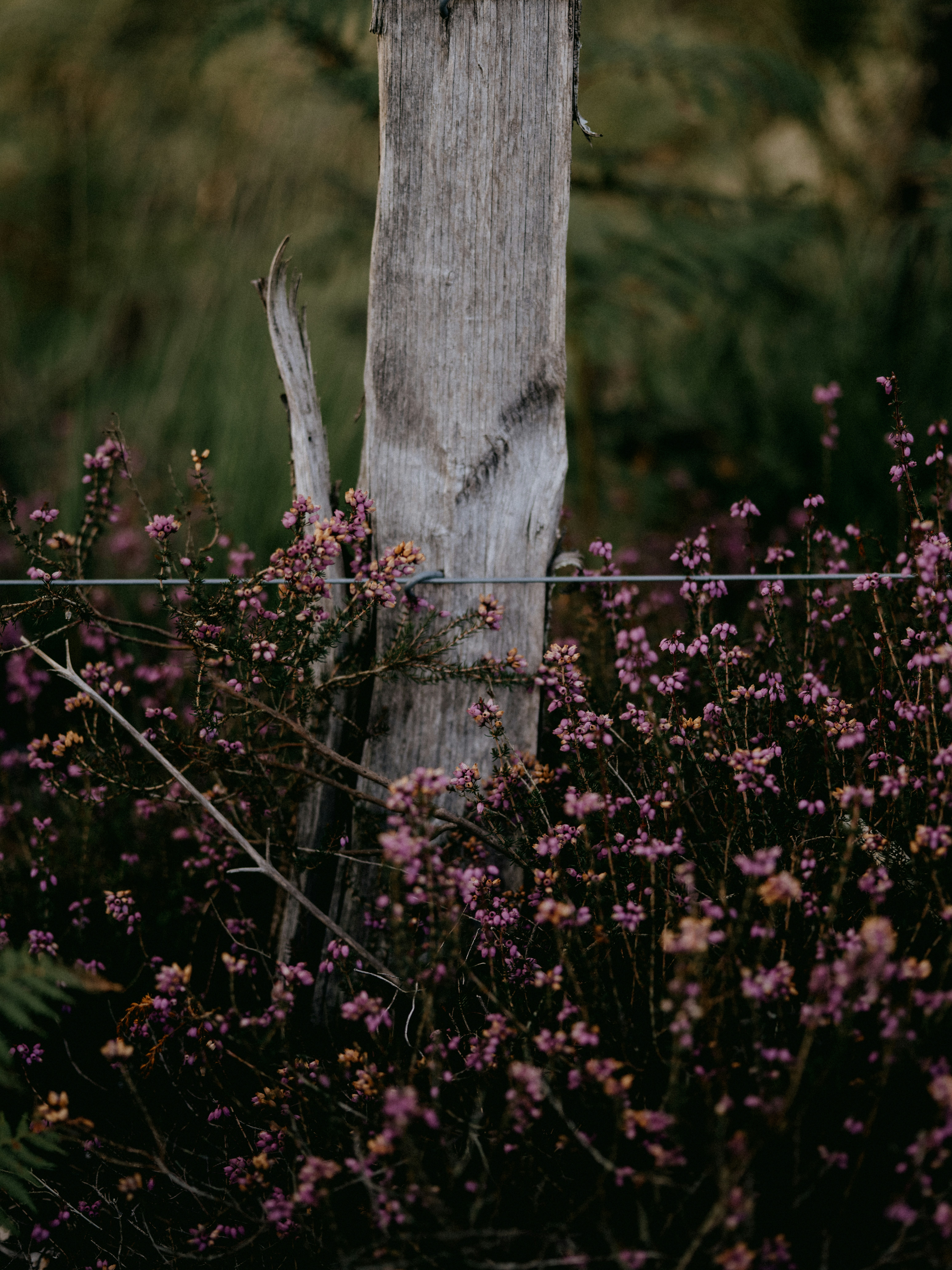 Photo by anniespratt