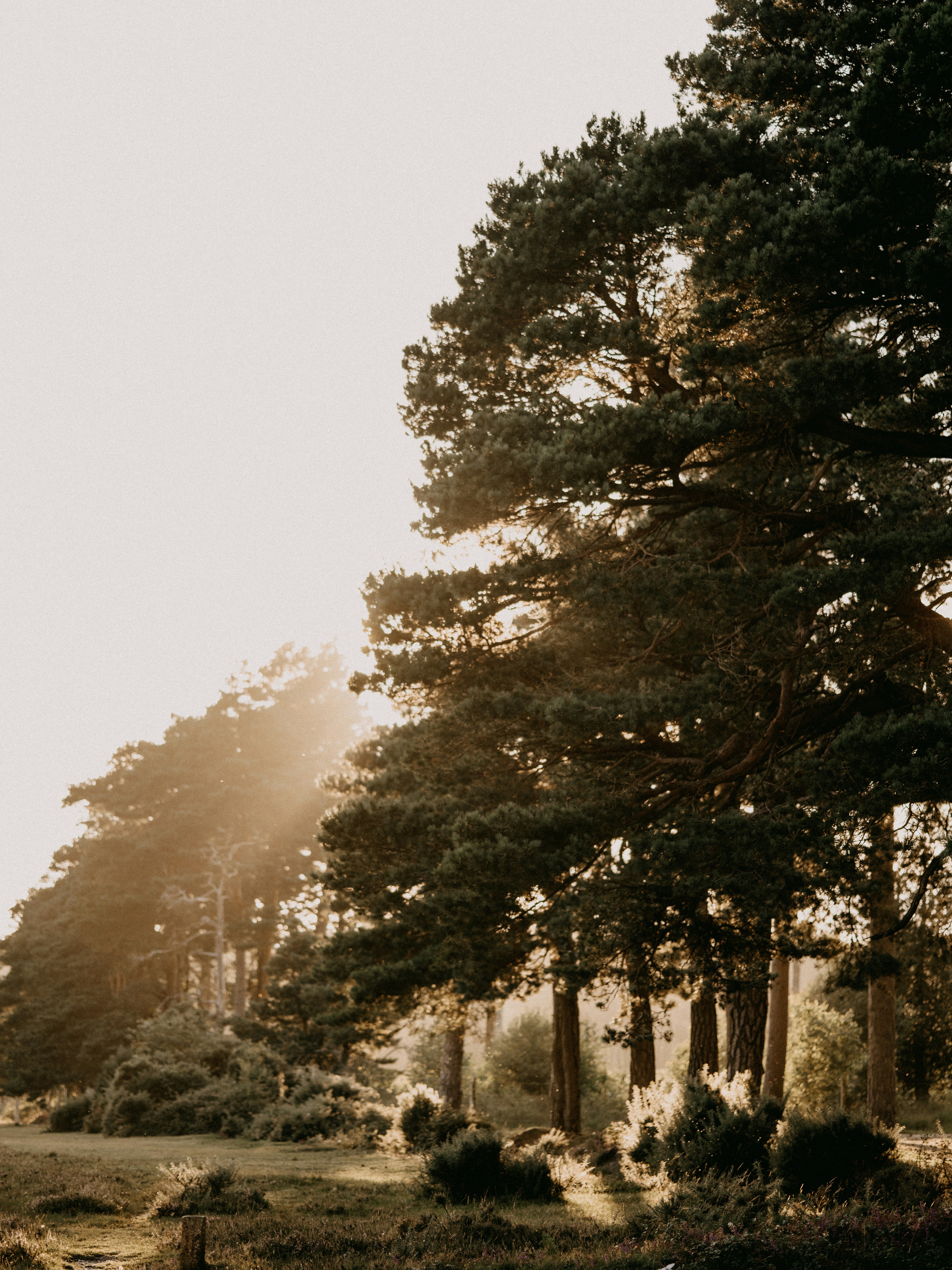 Photo by anniespratt