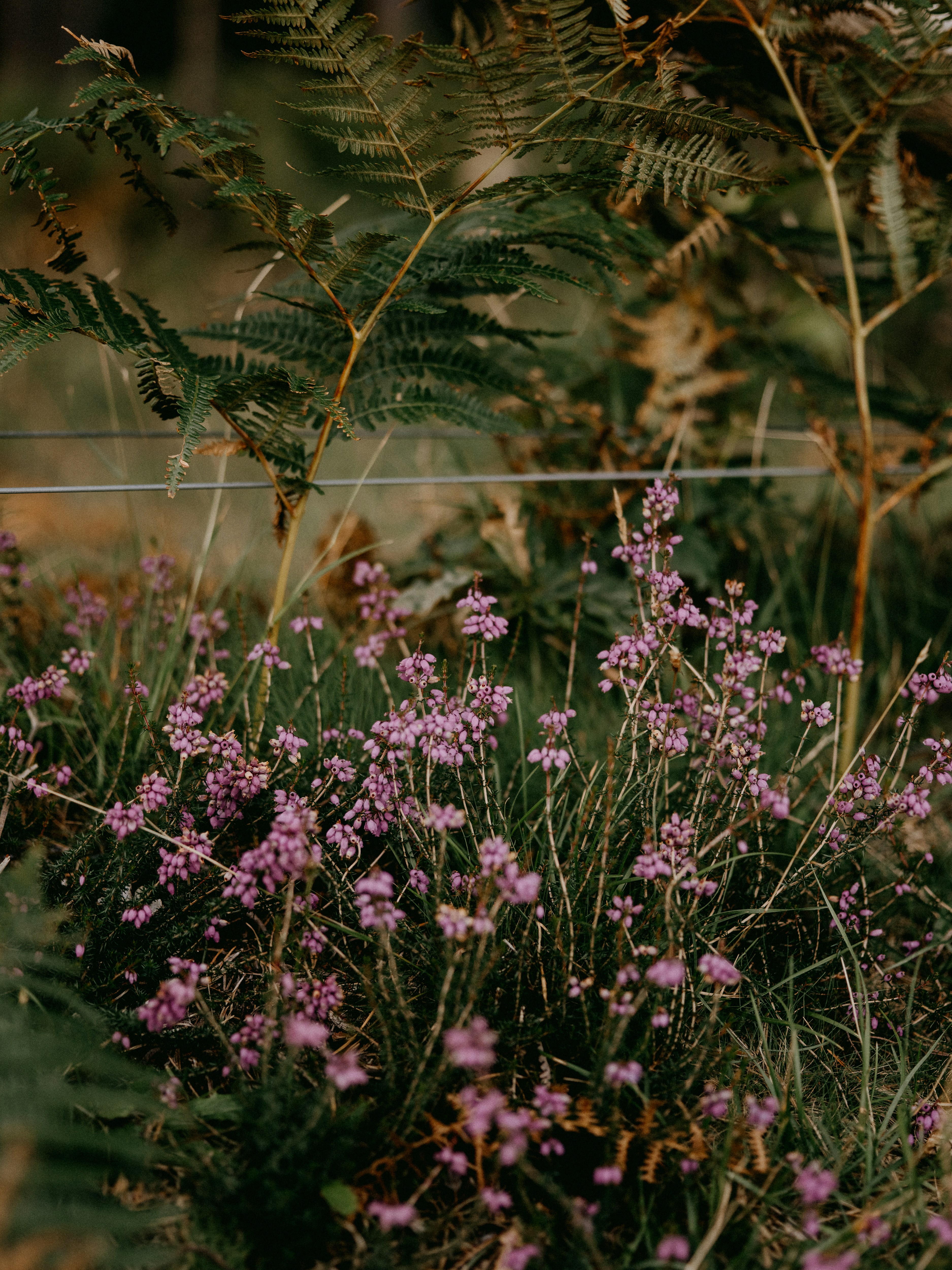 Photo by anniespratt