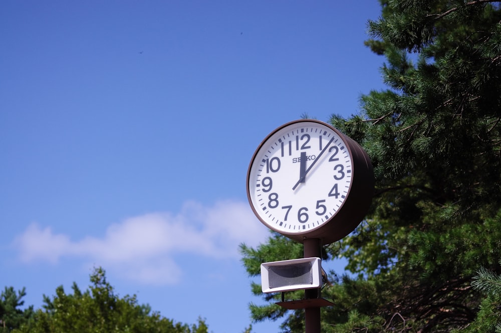 black and white analog wall clock at 10 00