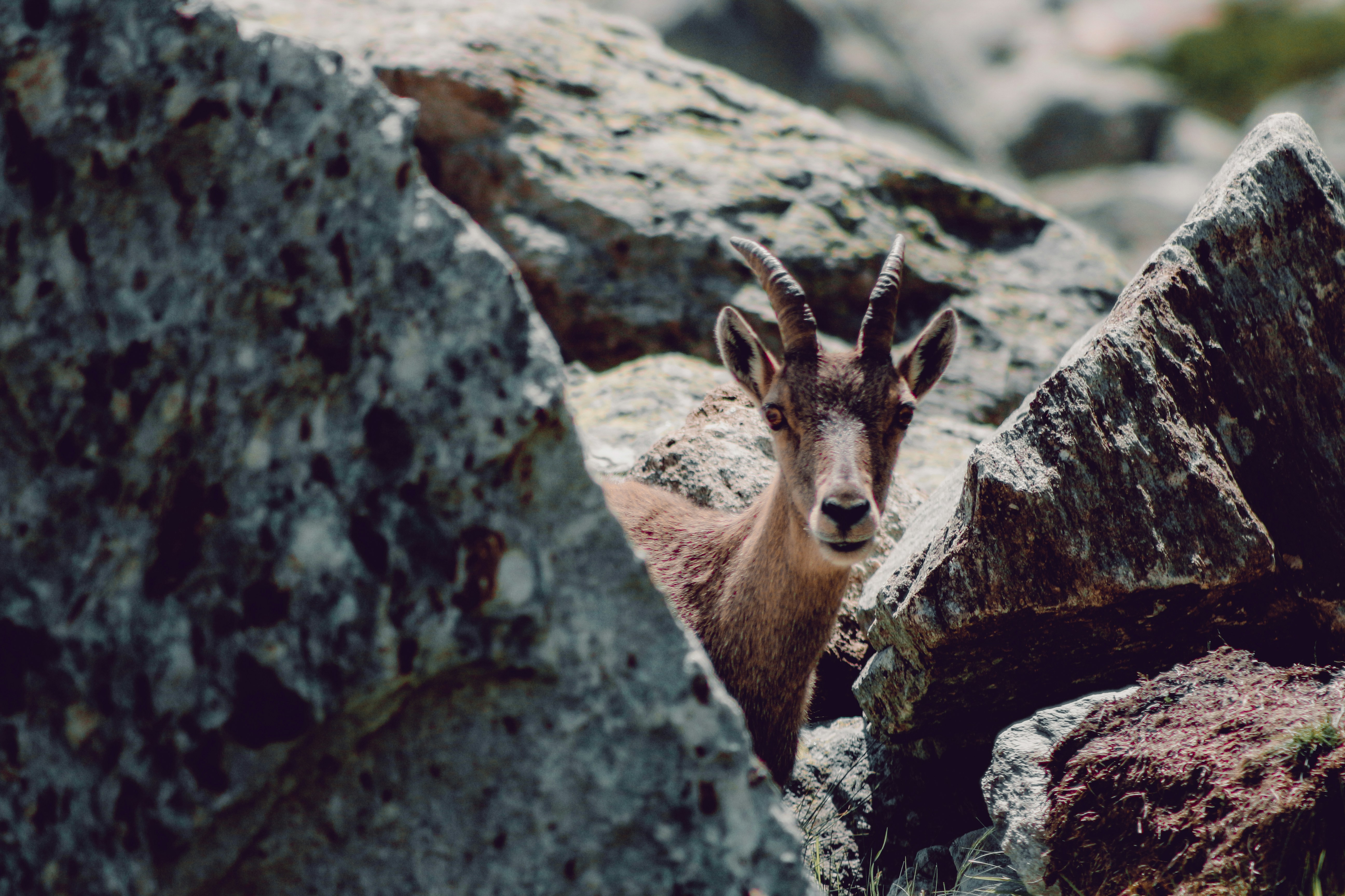 Photo by baptistebuiss