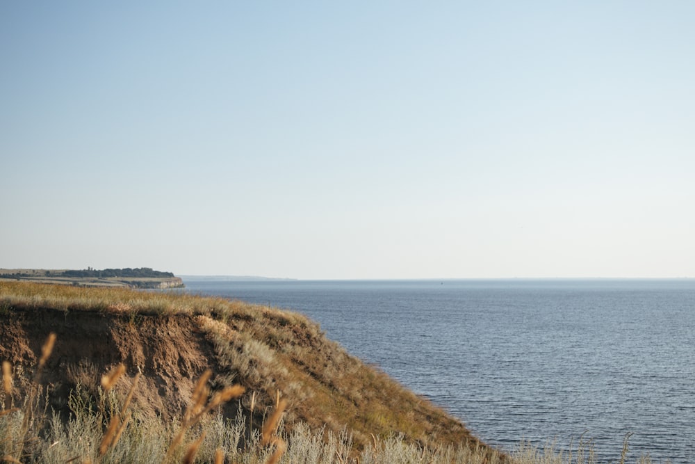 brown grass field near body of water during daytime