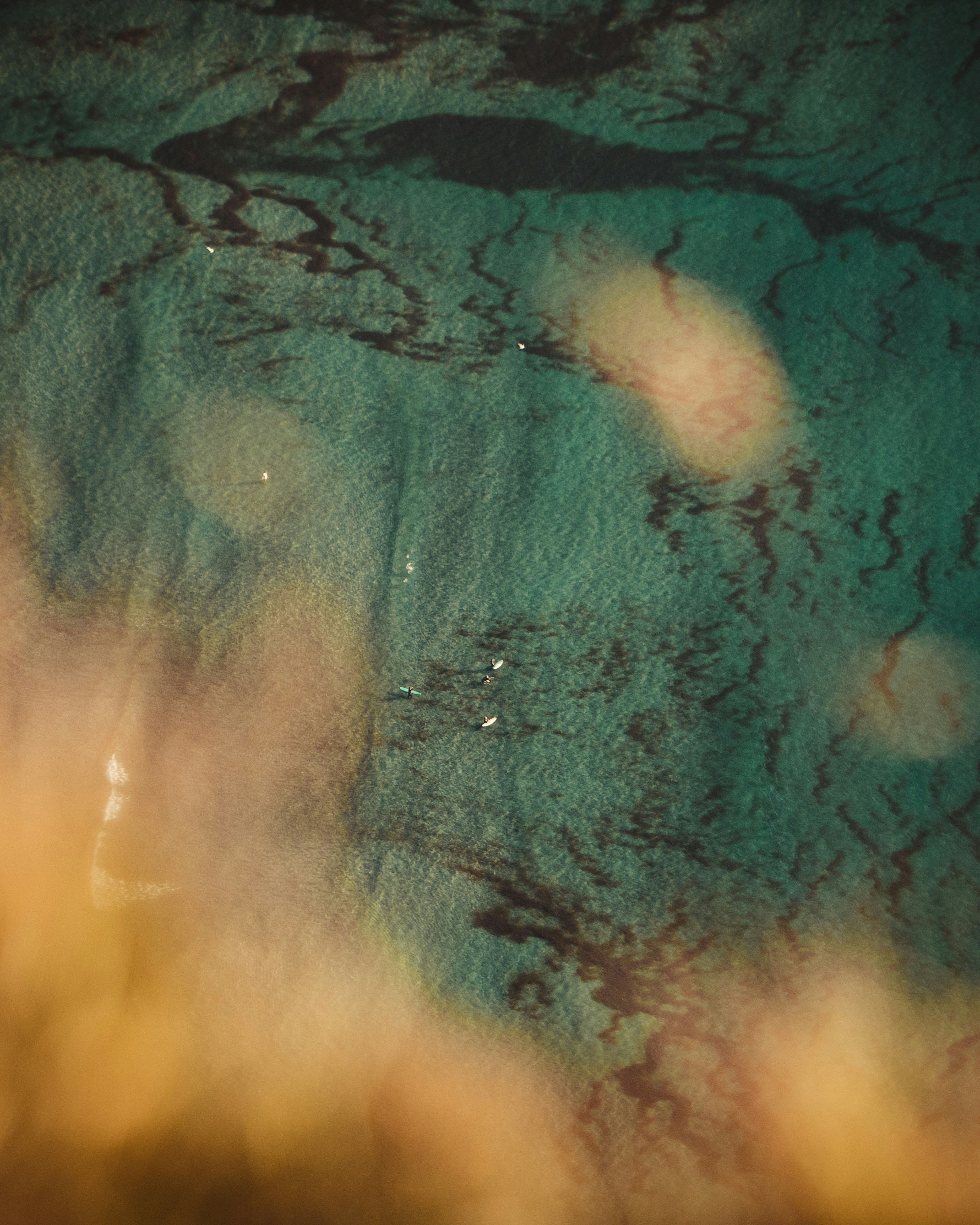 Photo by melimascella_