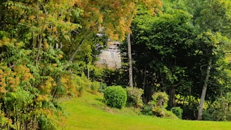 An outdoor view of the center surrounded by greenery.