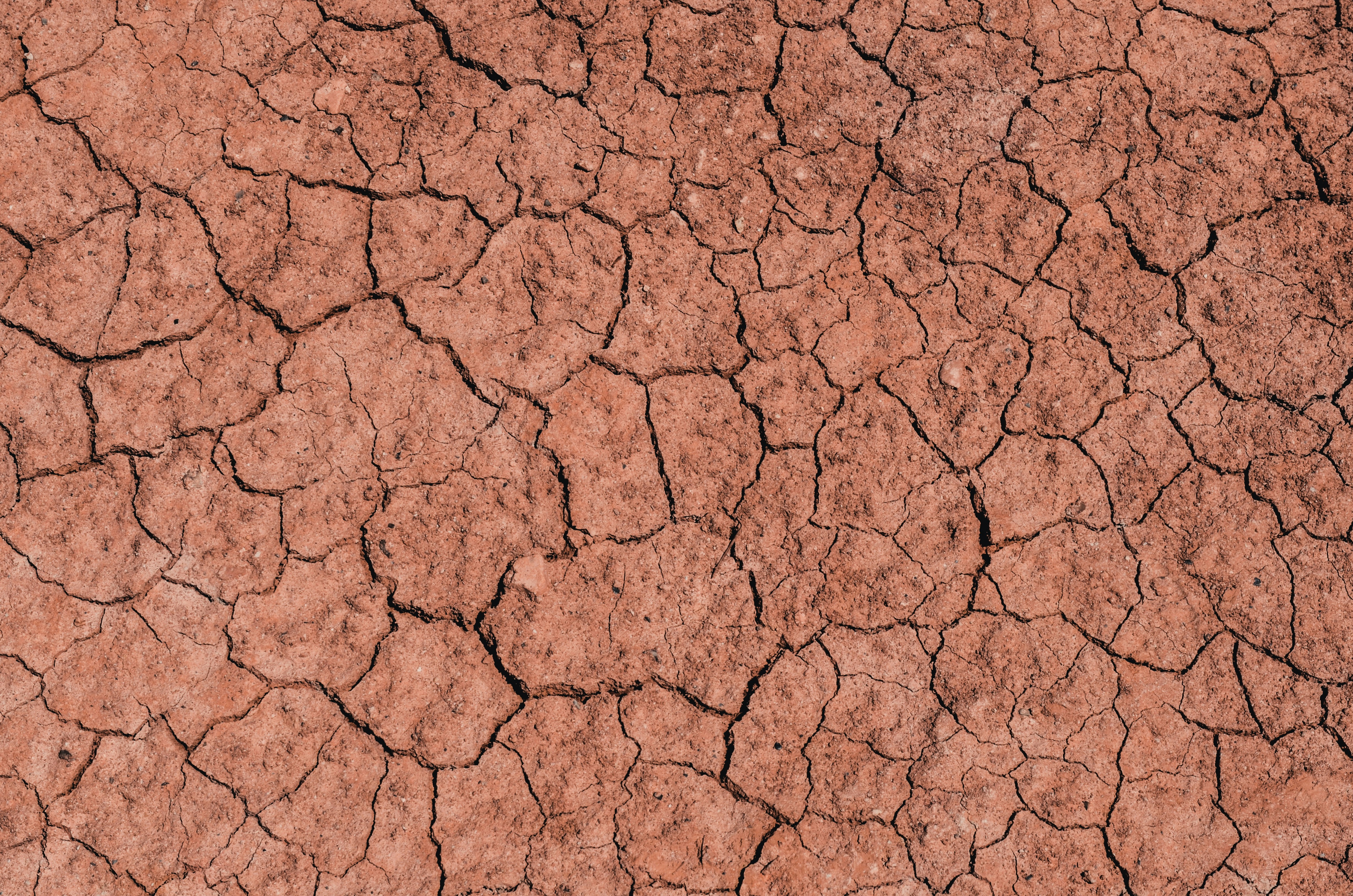 Life and Fate Read Along, Part 3 Chapter 34