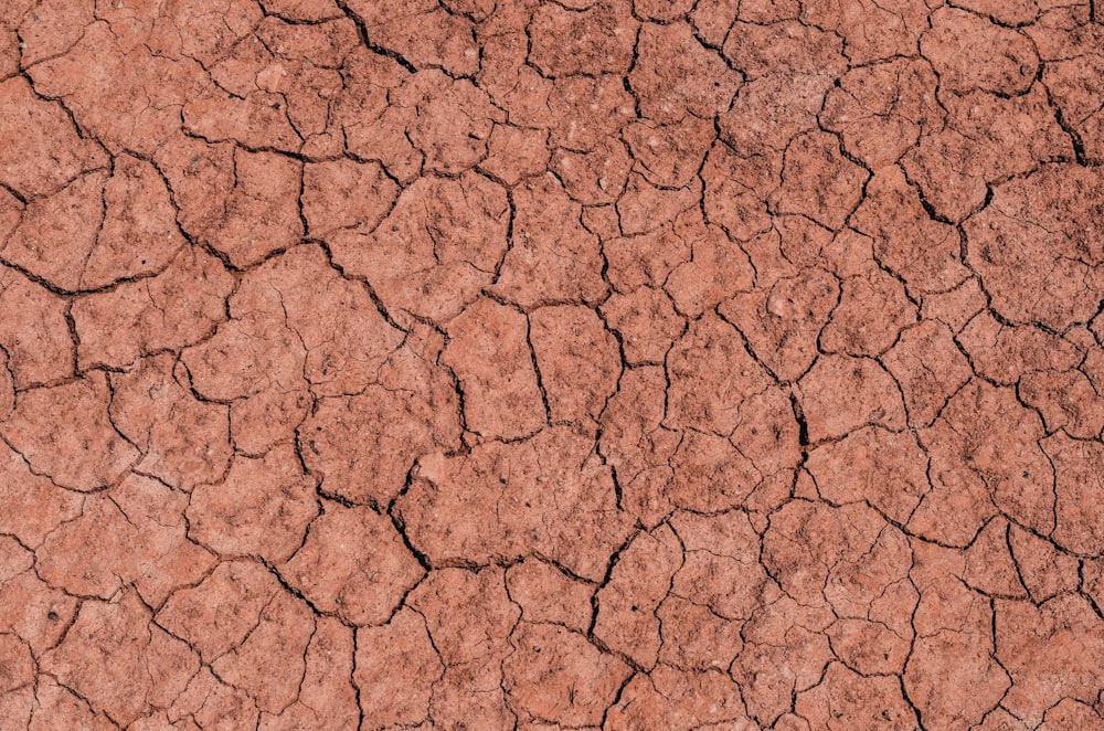 brown and white concrete floor