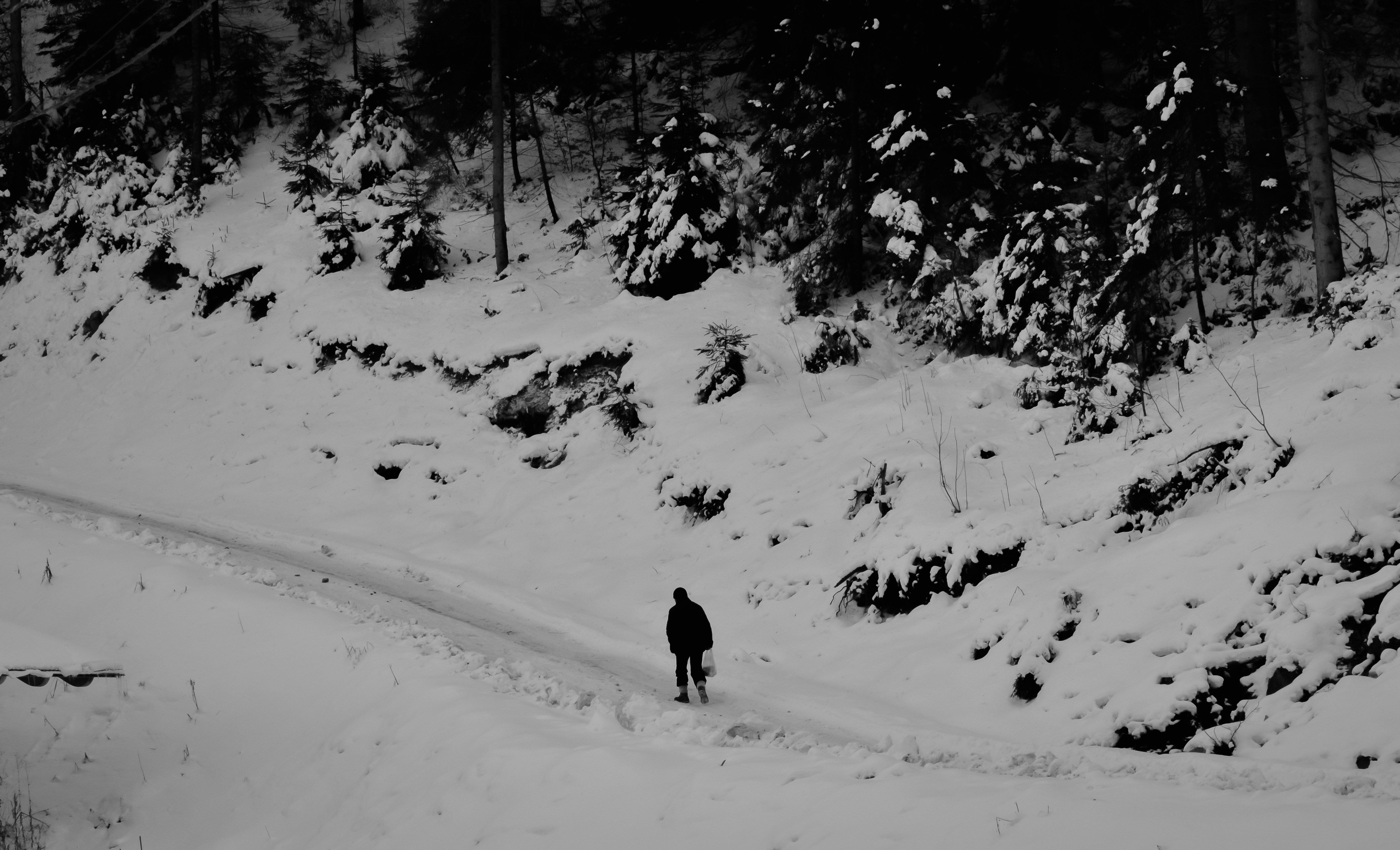 Photo by viktortalashuk