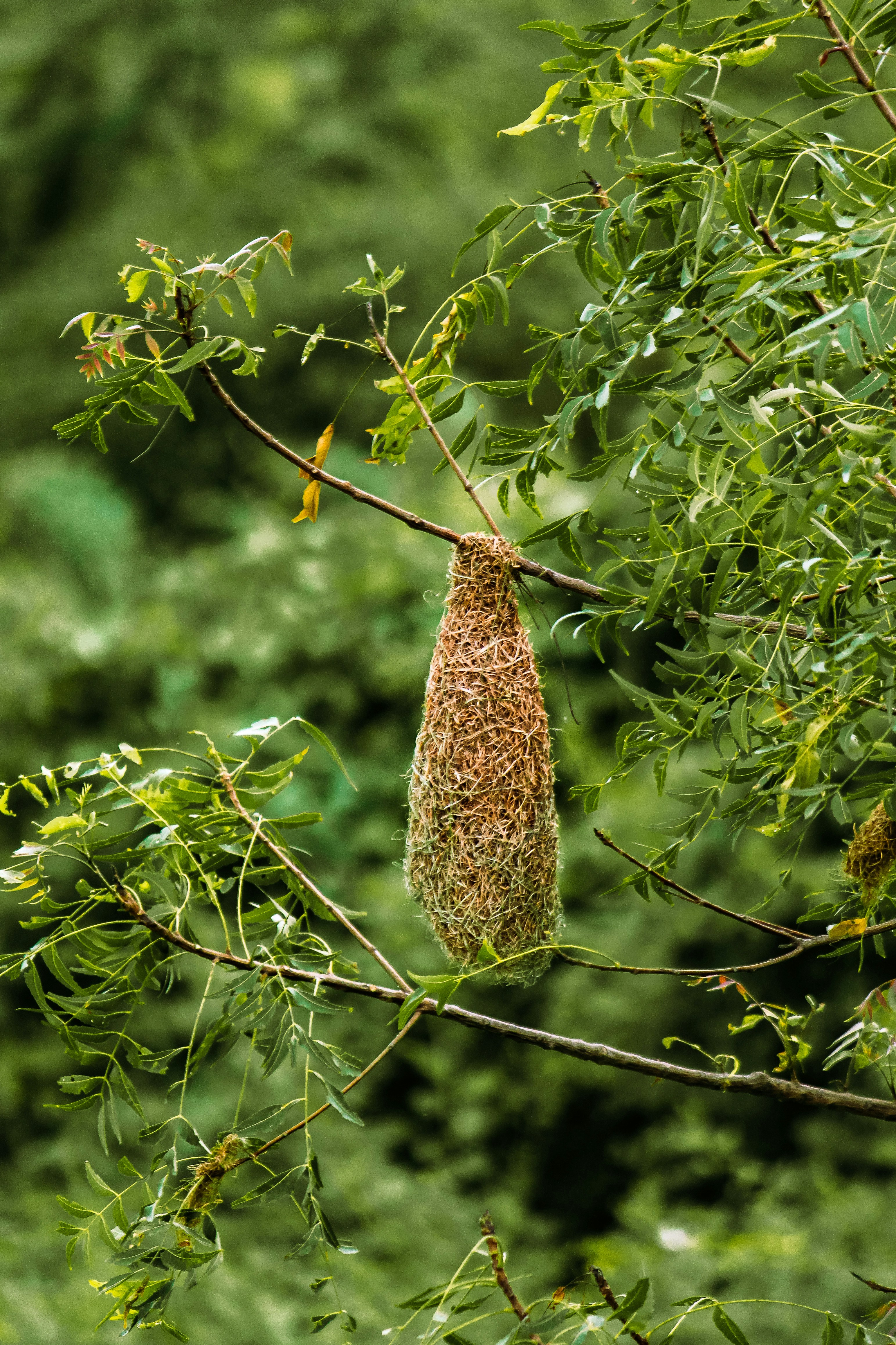 Photo by vaibhav_pixels