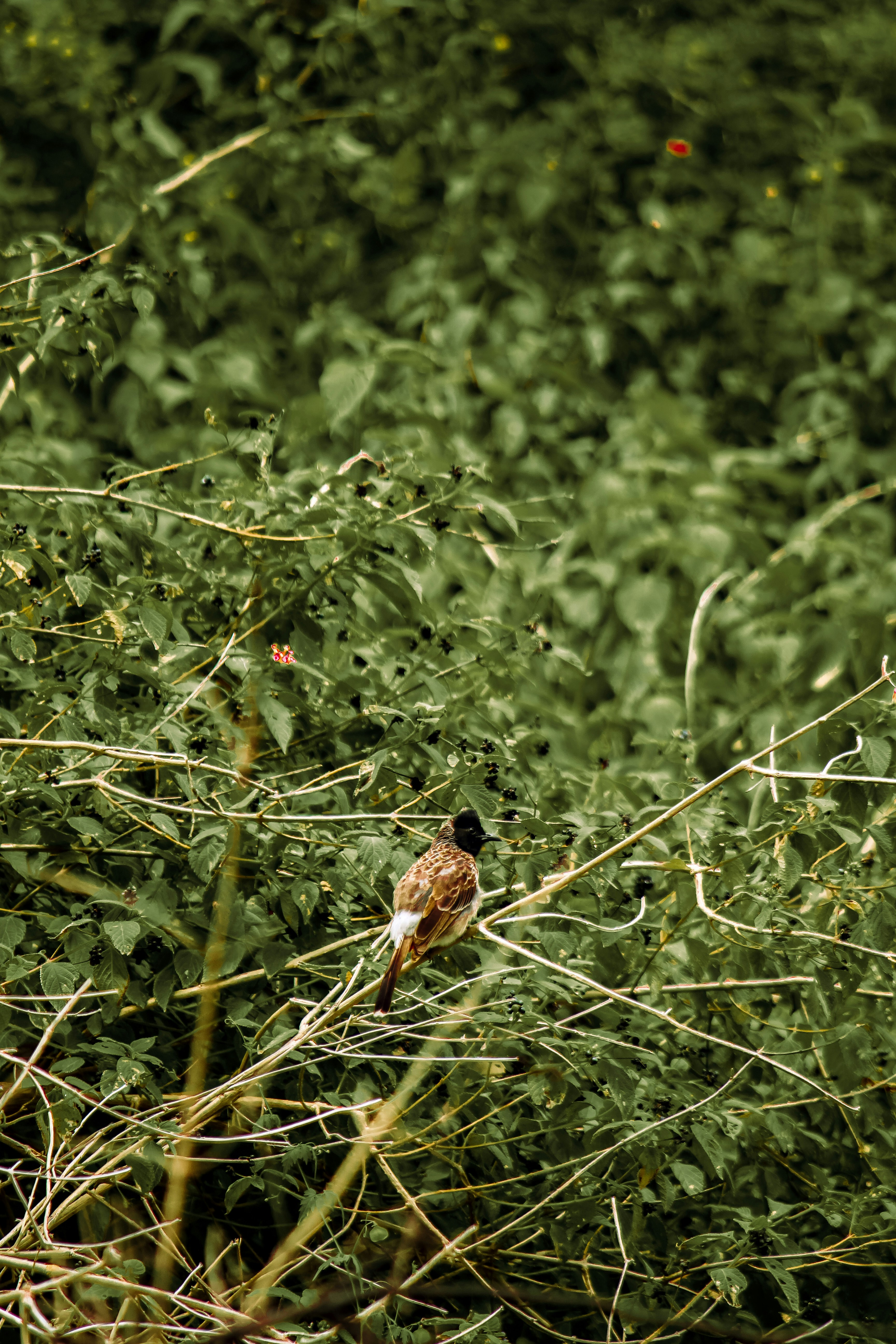 Photo by vaibhav_pixels