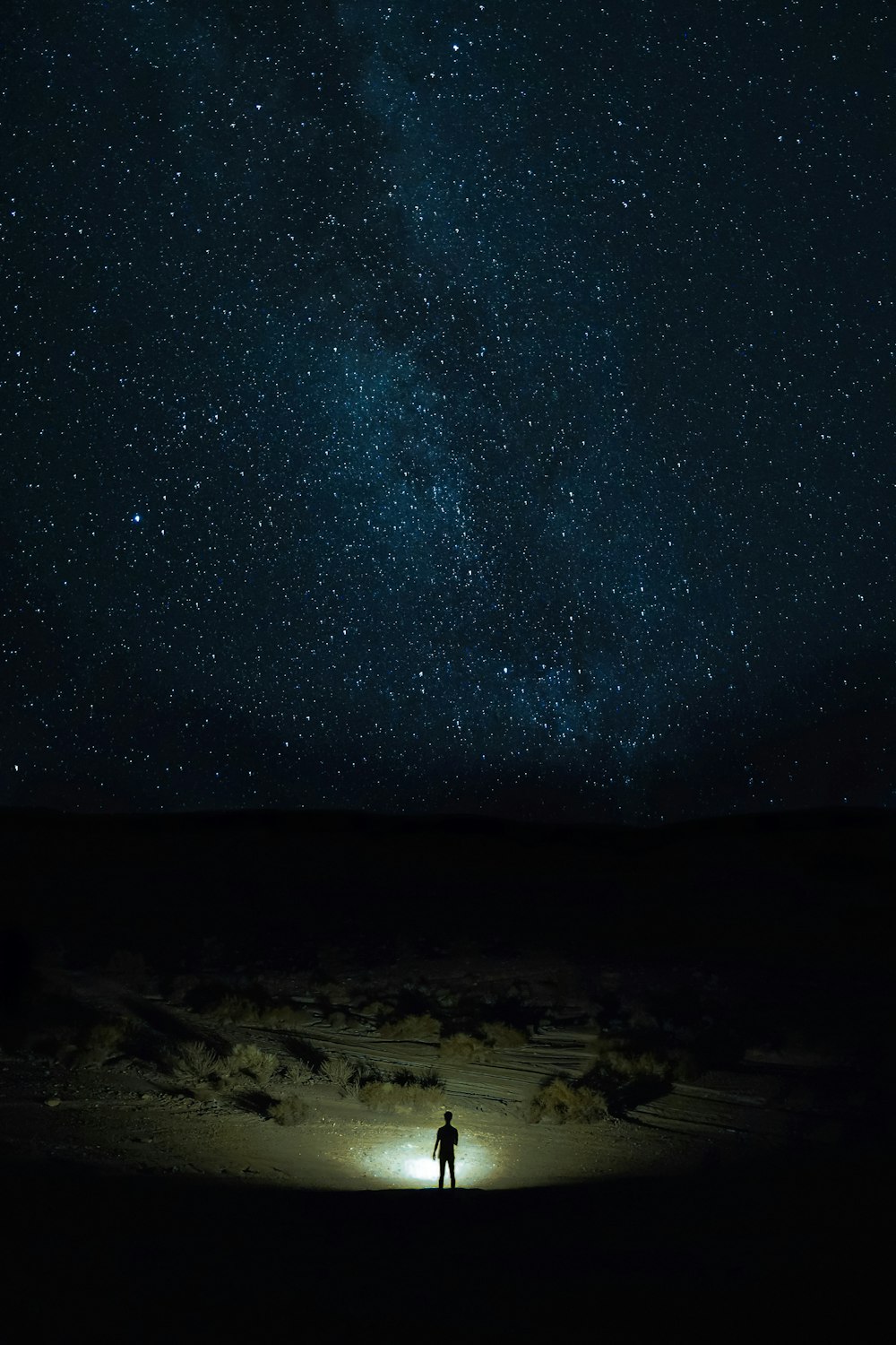 snow covered field under starry night