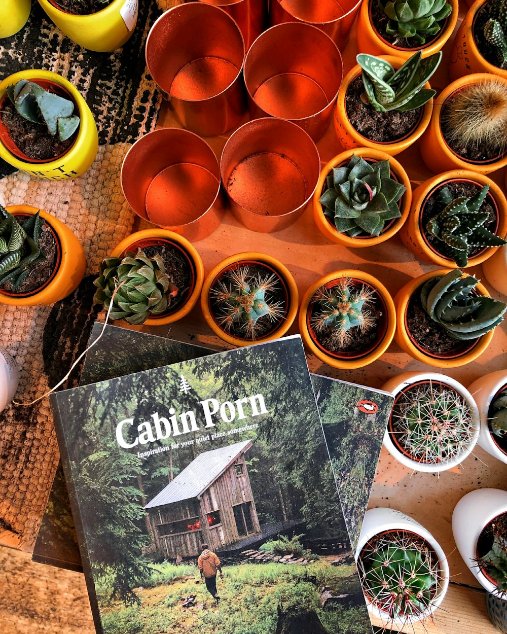 Una mesa cubierta con muchas plantas en macetas