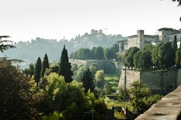 A lush, green landscape with a historic wall and several large buildings in the distance. Tall trees and vibrant vegetation surround the area, creating a serene and picturesque scene. The buildings have a classical architectural style, adding a sense of history and charm.