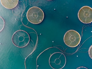 white and silver round coins on blue surface