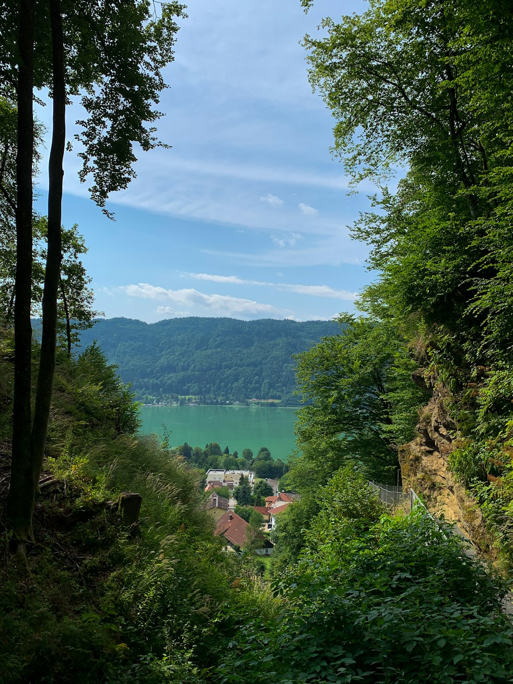 green trees near body of water under blue sky during daytime